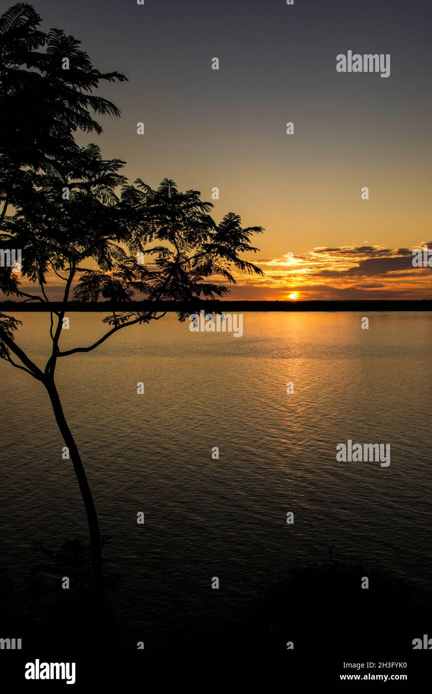 Golden sunrise over the water of Uruguay River and a tree at left side. El Palmar, Entre Ríos, Argentina Stock Photo