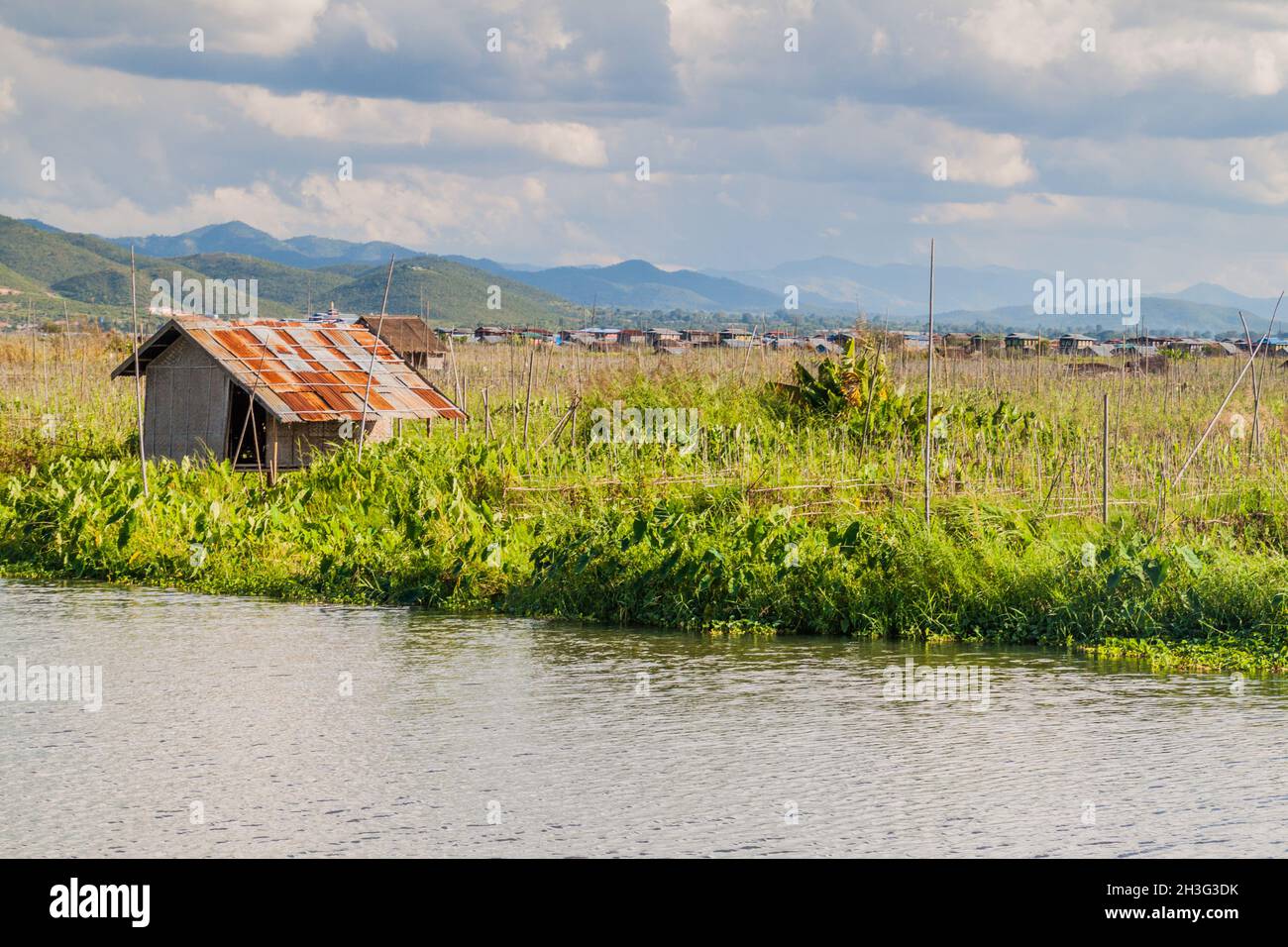 Floating gardens at Inle lake, Myanmar Stock Photo Alamy