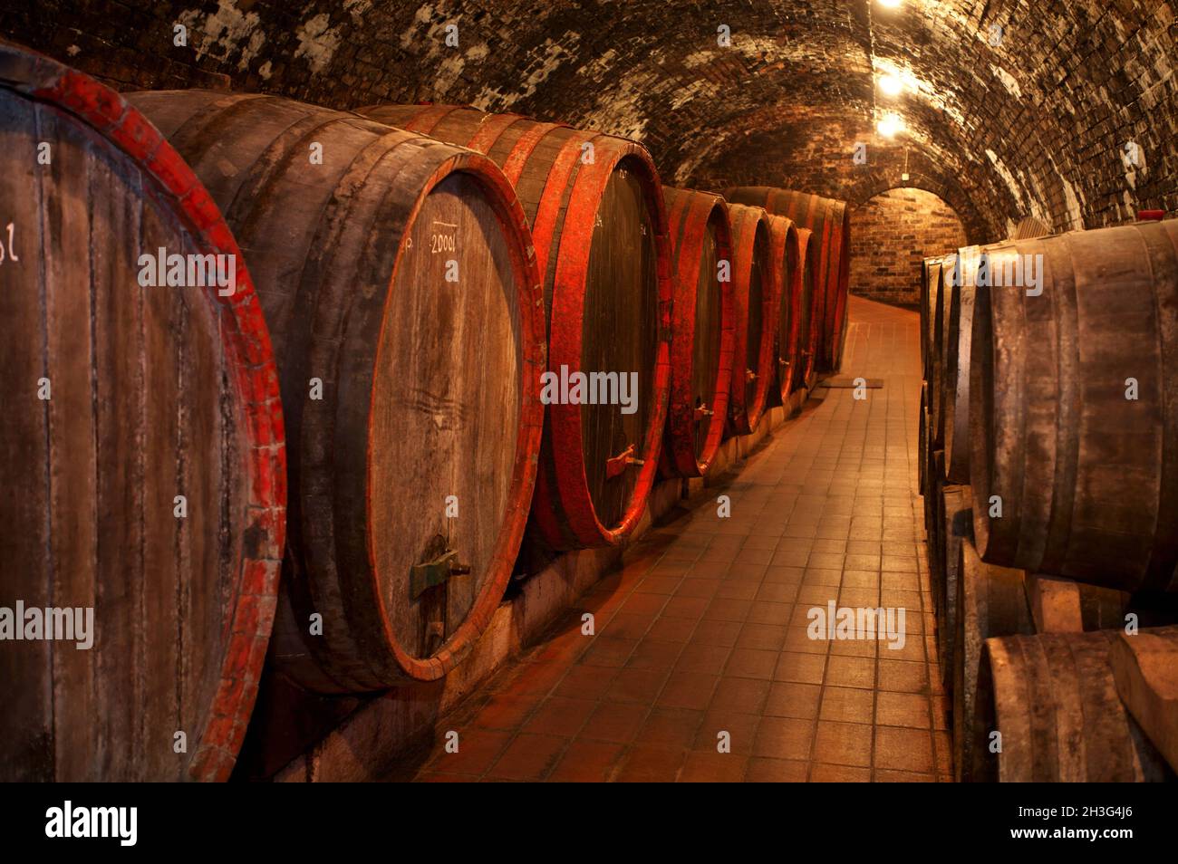 Winecellar Stock Photo