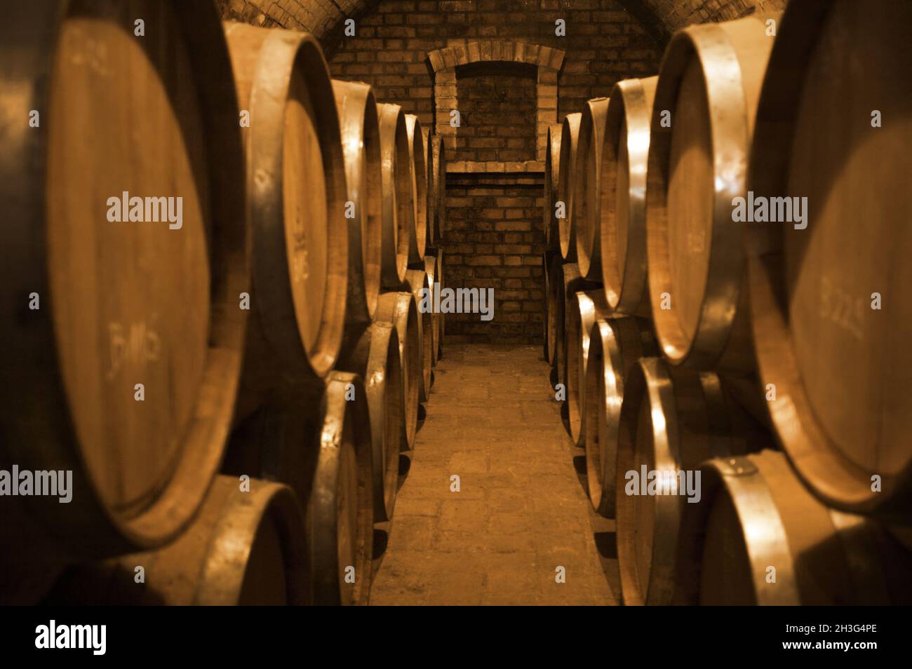 Winecellar Stock Photo