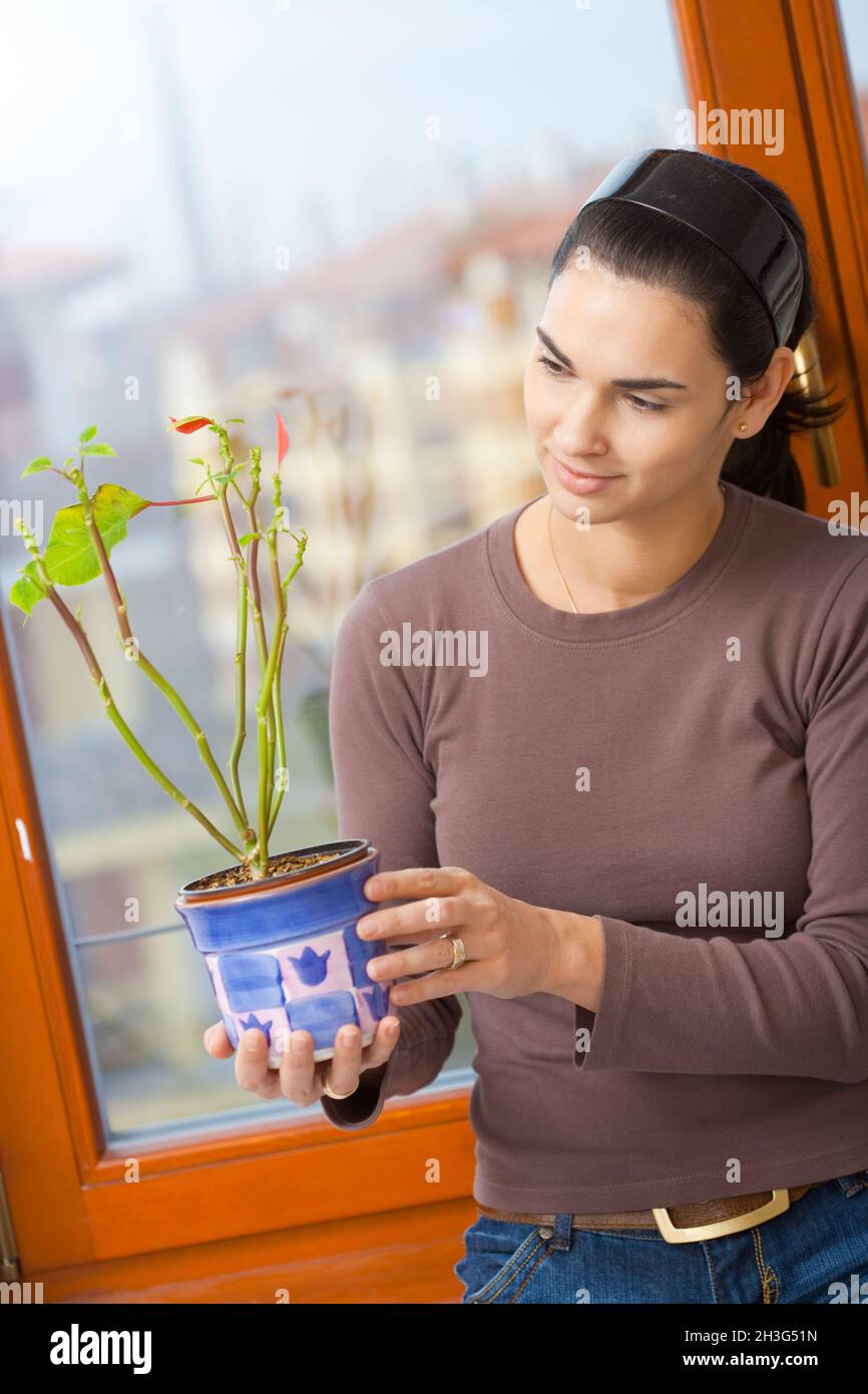 Woman holding potted plant Stock Photo - Alamy