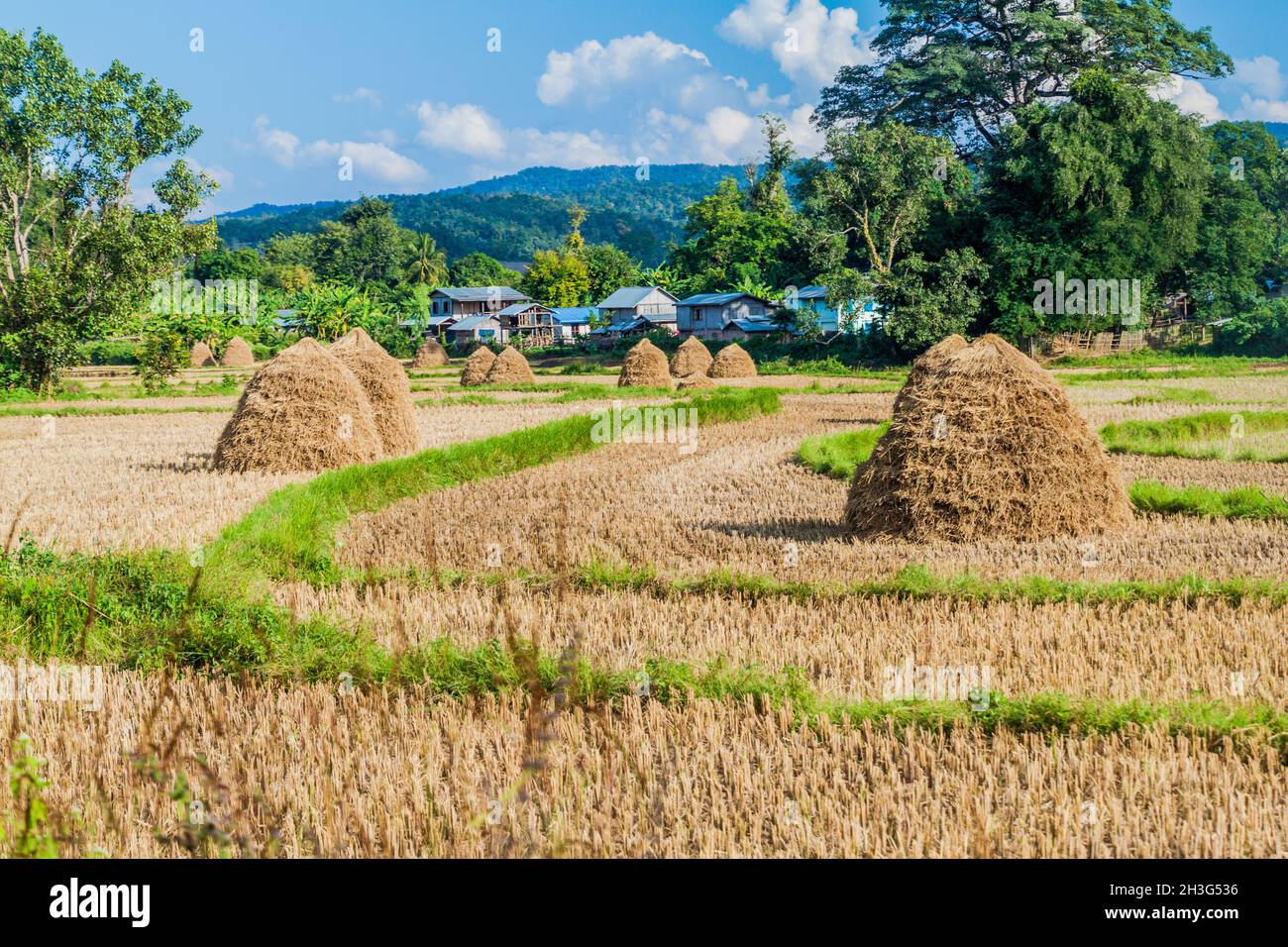 Rural landscape with rice straw stacks near Hsipaw, Myanmar Stock Photo ...