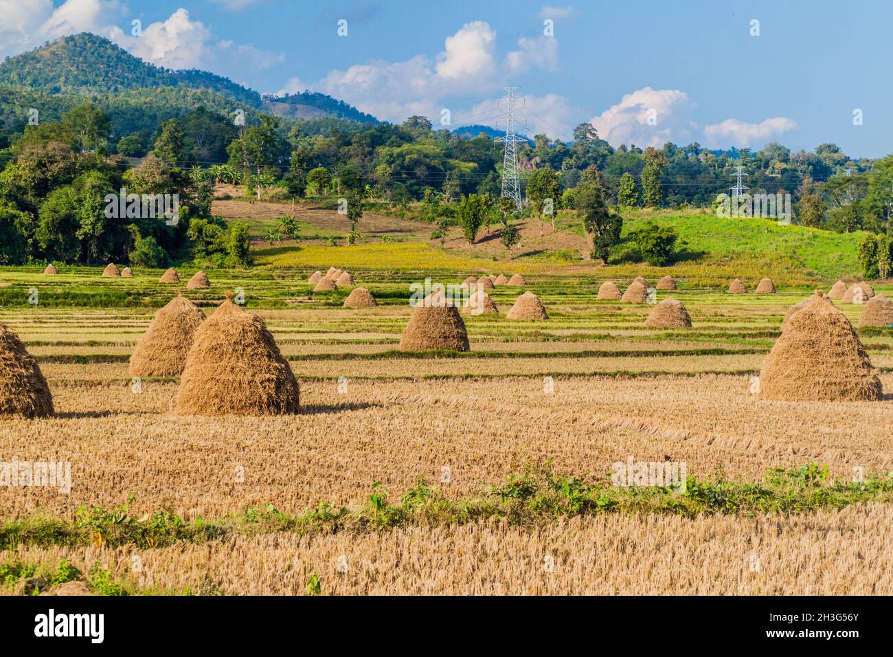 Rural landscape with rice straw stacks near Hsipaw, Myanmar Stock Photo ...