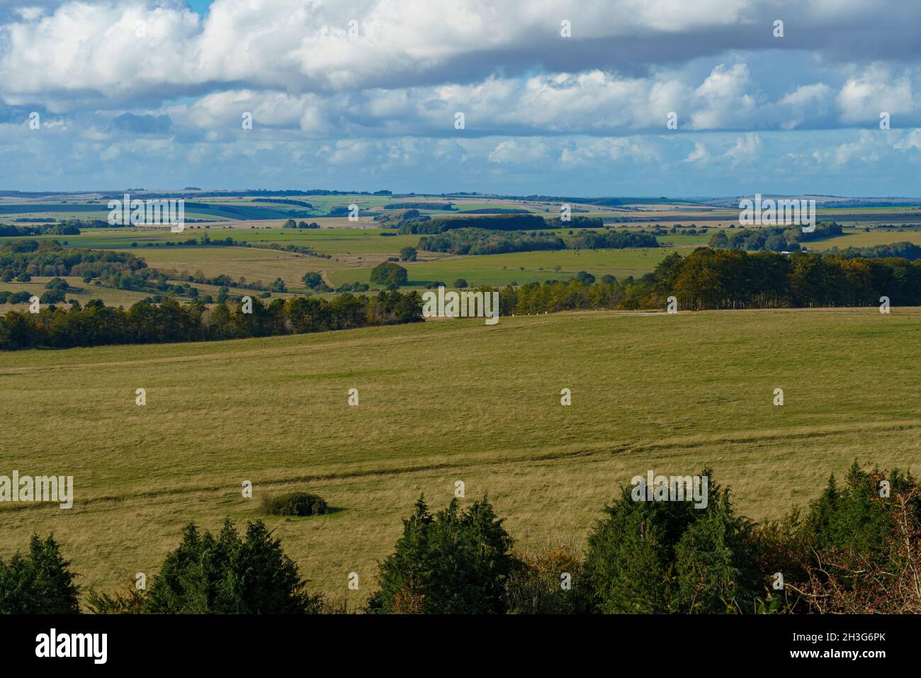 long English countryside view of green fields, woodlands and a big blue ...