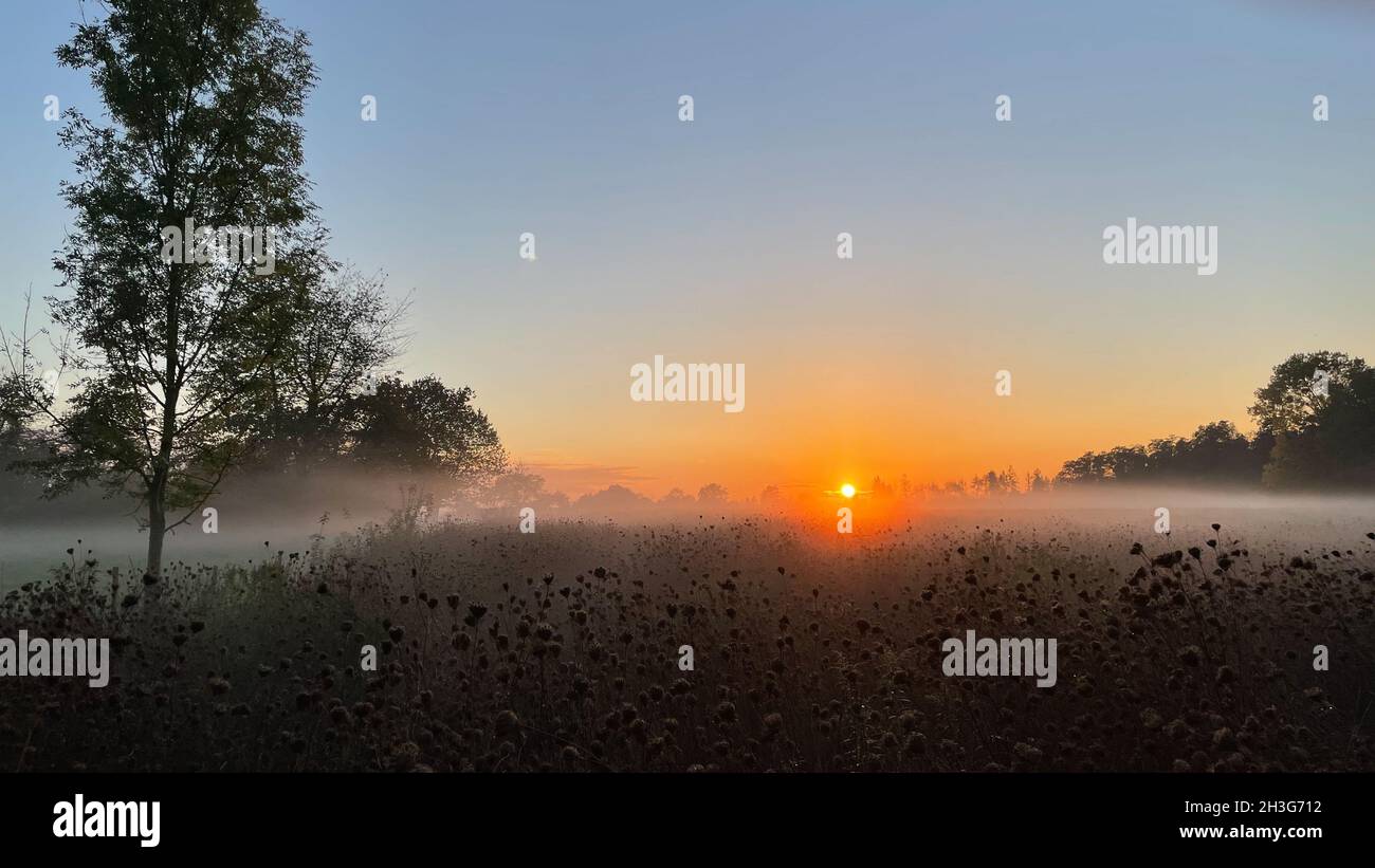 Rural sunset with wafts of mist Stock Photo
