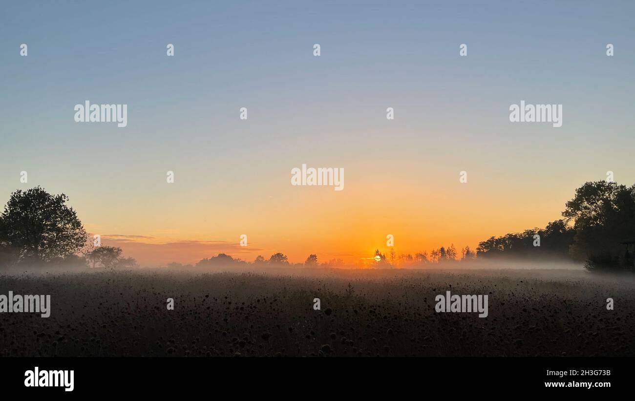 Rural sunset with wafts of mist Stock Photo