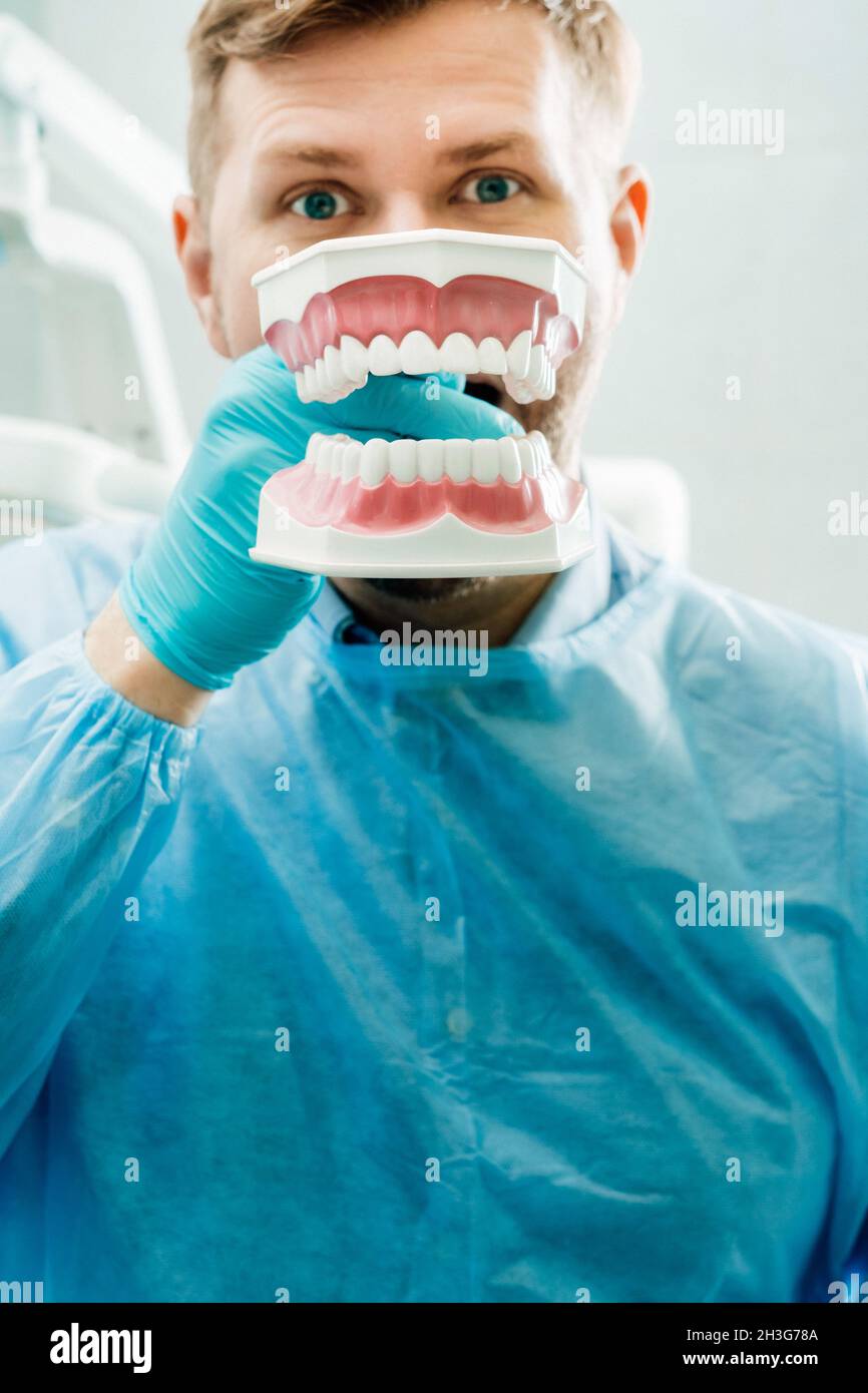 A model of a human jaw with teeth and a toothbrush in the dentist's ...