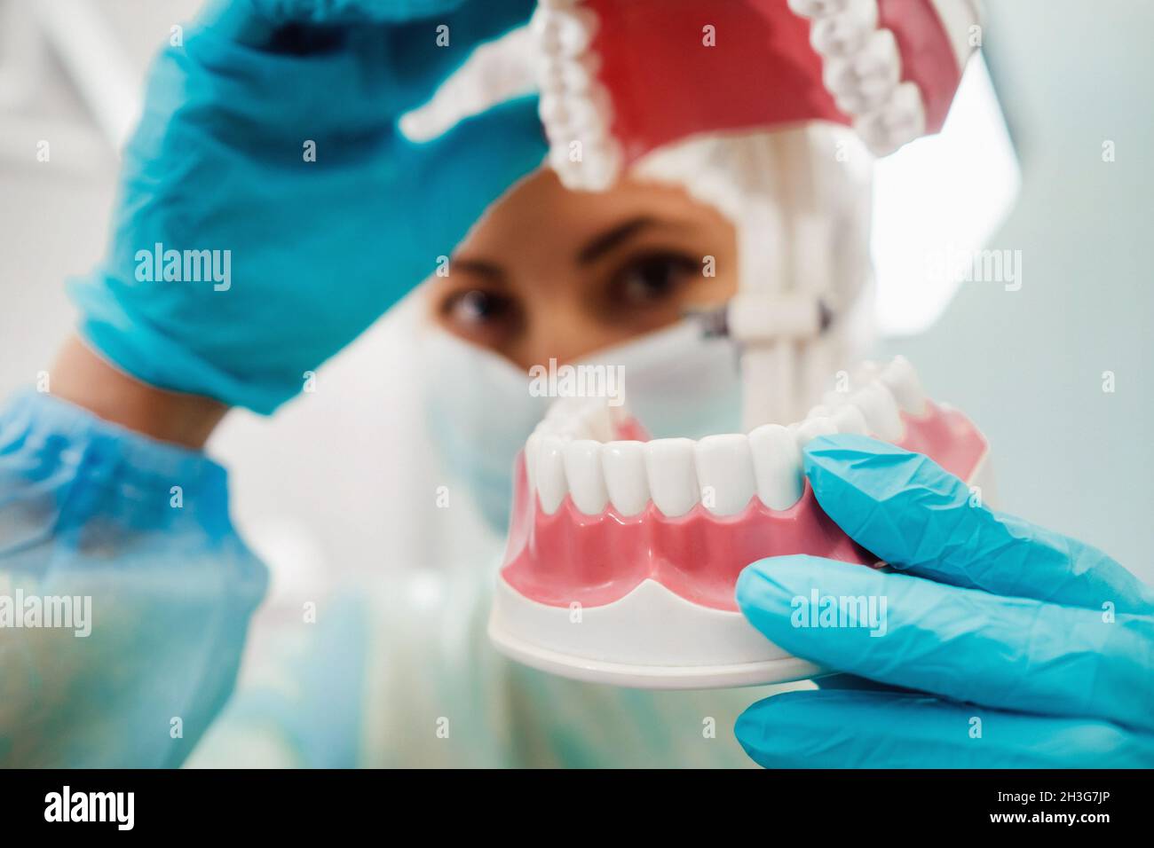 A model of a human jaw with teeth in the dentist's hand Stock Photo - Alamy