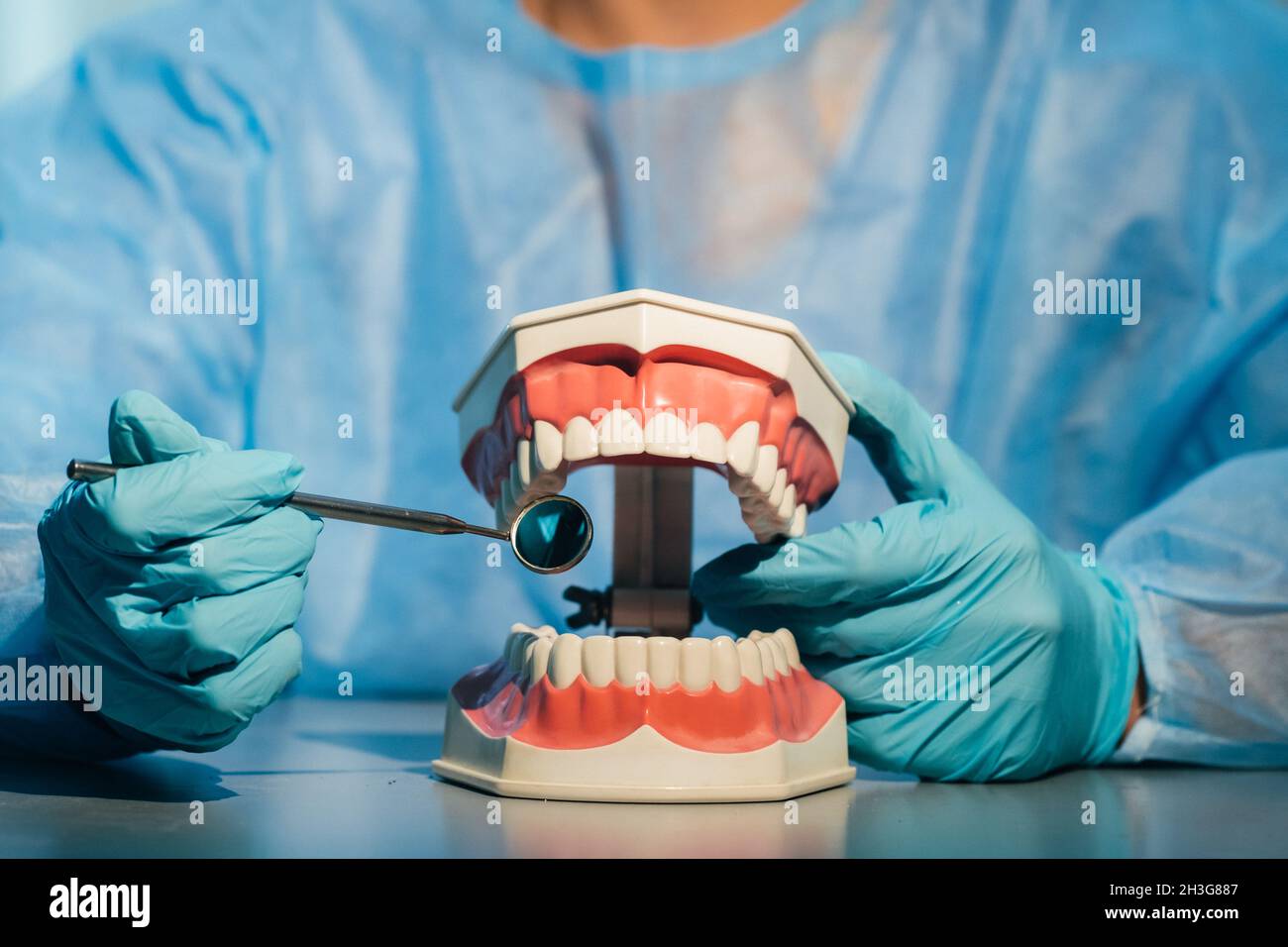A dental doctor wearing blue gloves and a mask holds a dental model of ...