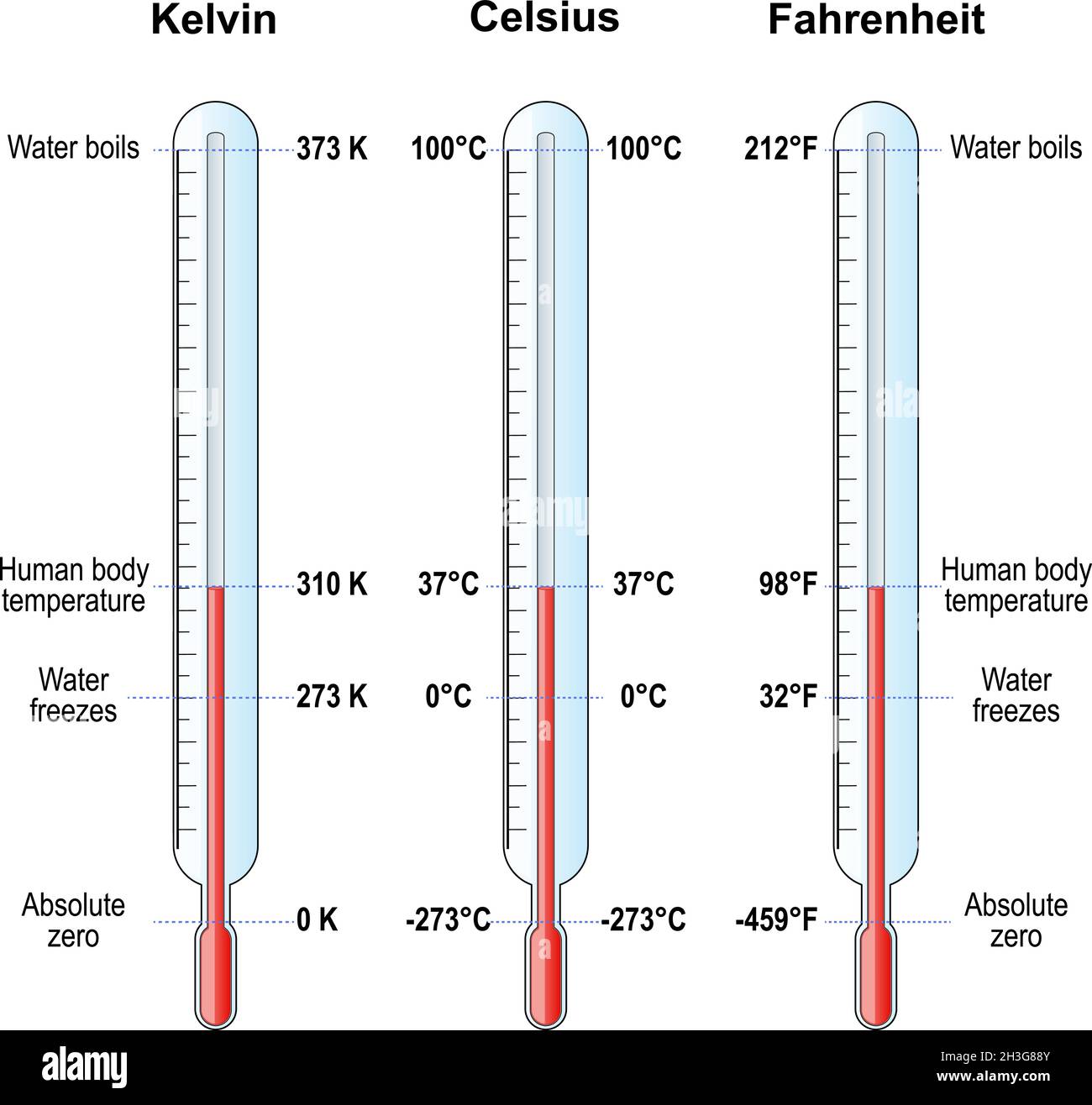 temperature scales. Celsius, Fahrenheit and Kelvin thermometers. comparison and difference. vector illustration Stock Vector