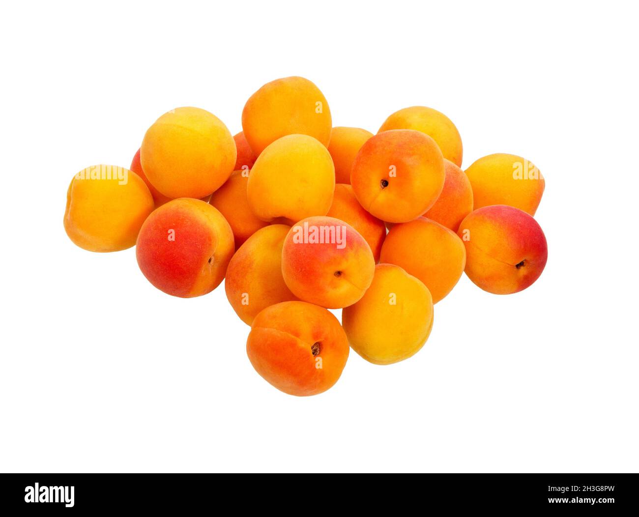 Apricots or peaches isolated on white background. Bunch of apricot