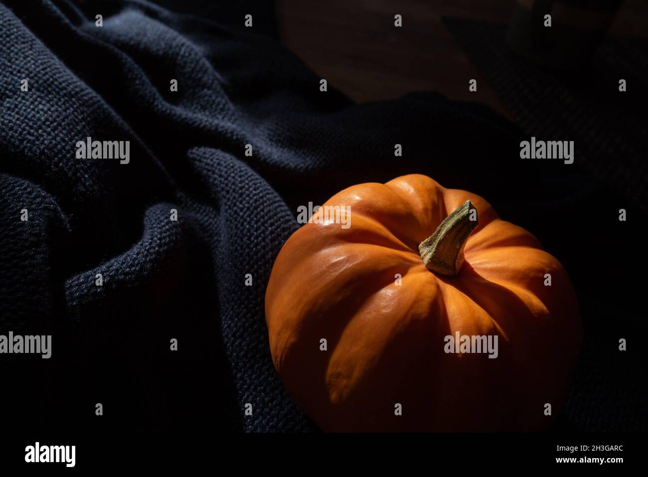 orange pumpkin in soft light with shadow on dark blue background, mystical and dramatic scene Stock Photo