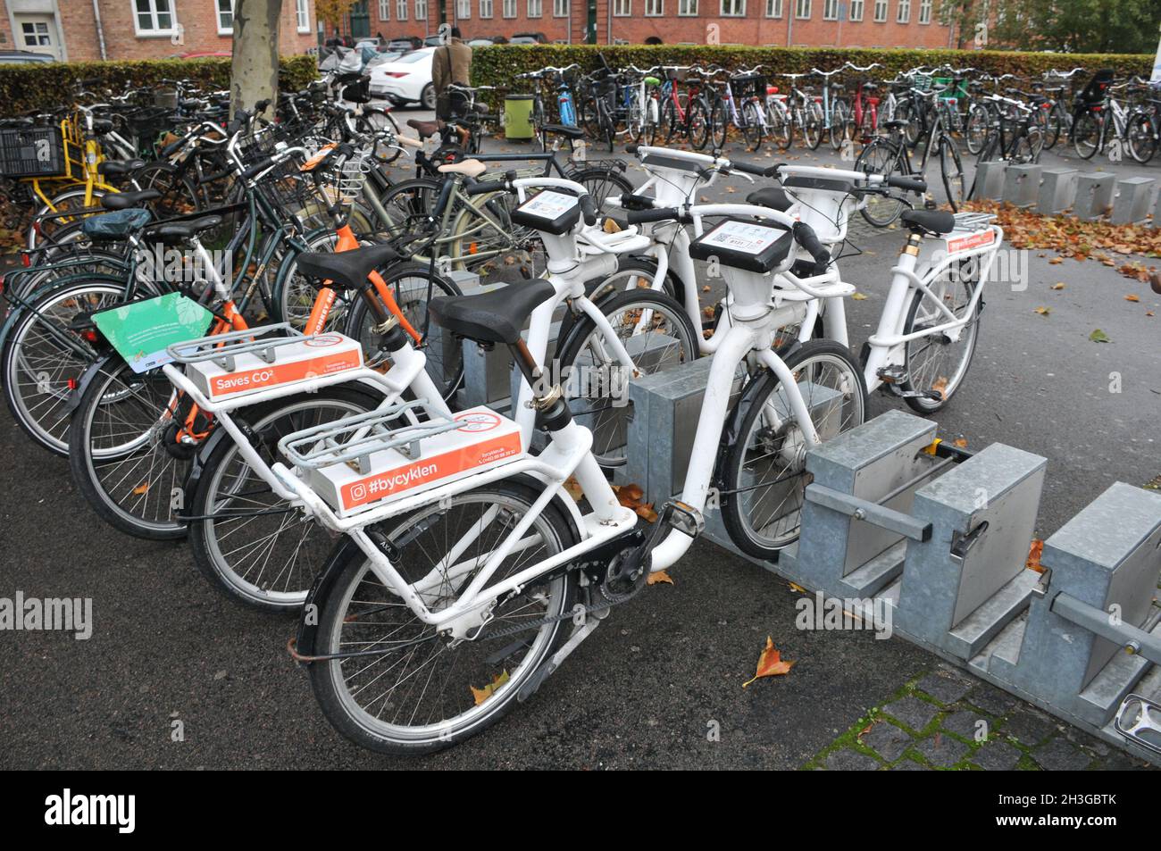 Copenhagen Denmark Bikes Rent In High Resolution Stock Photography and  Images - Alamy