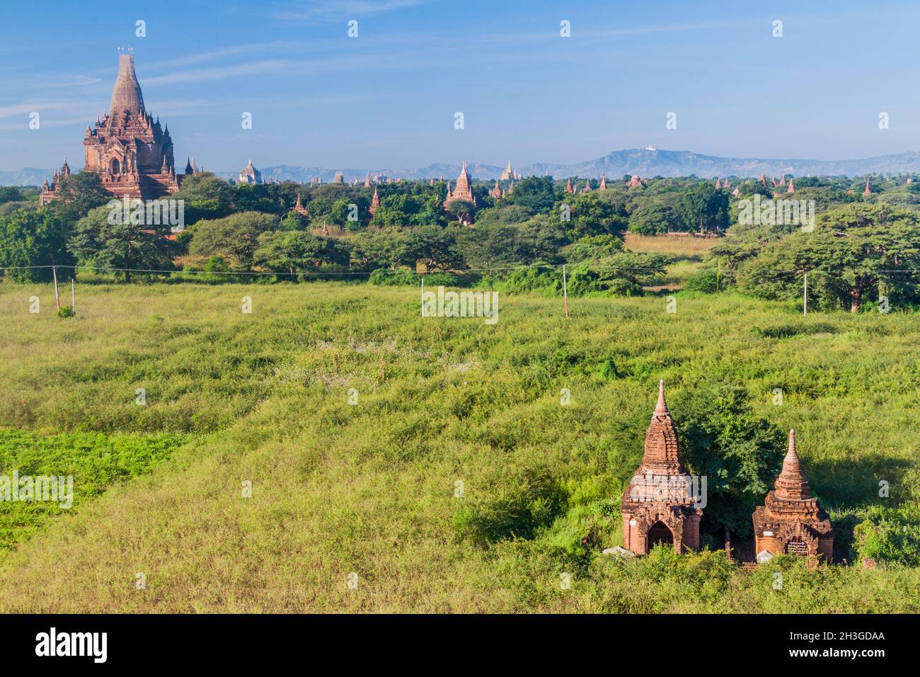 Skyline of temples in Bagan, Myanmar. Bulethi temple in the left. Stock Photo
