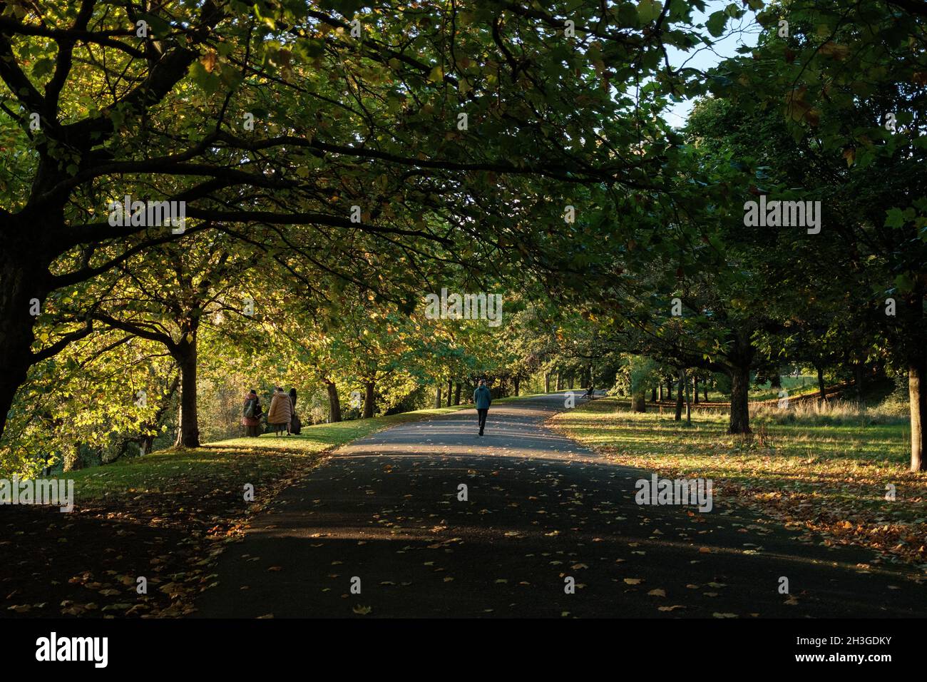 Kelvingrove Park,Glasgow in autumn sunshine. Leaves, shadows, trees. Scotland 2021 Stock Photo