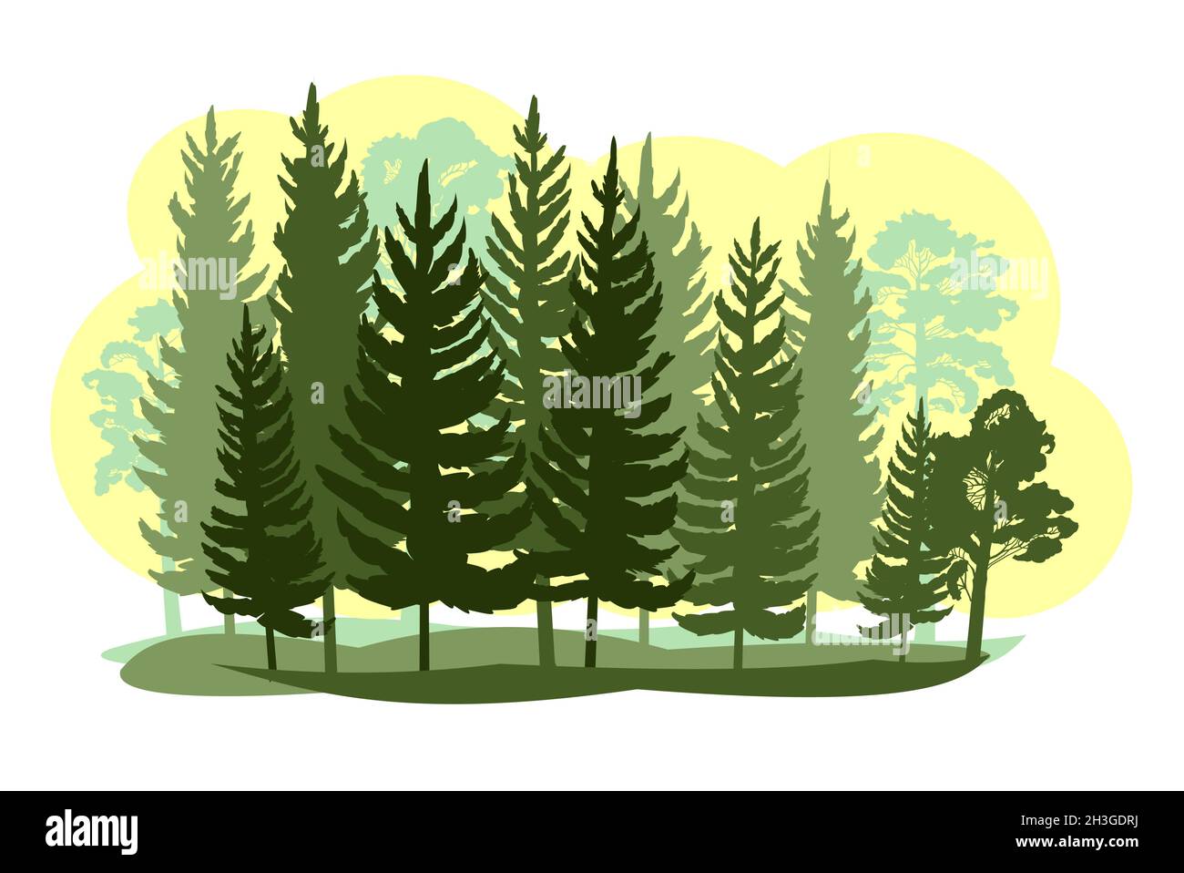 Forest silhouette scene. Landscape with coniferous trees. Beautiful view. Pine and spruce trees. Summer nature. Isolated illustration vector Stock Vector