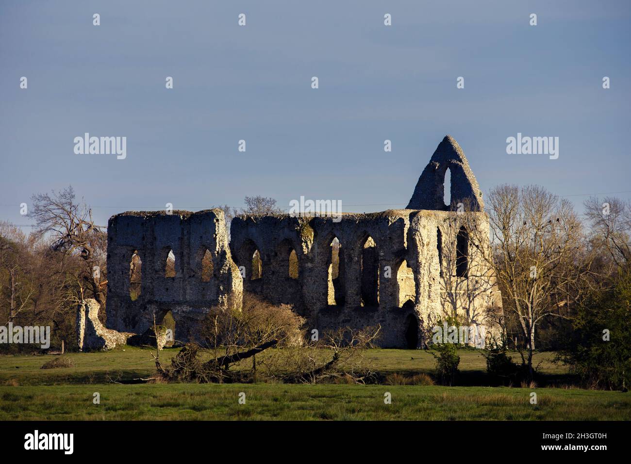 The ruins of Newark Priory, an Augustinian priory by the River Wey, now