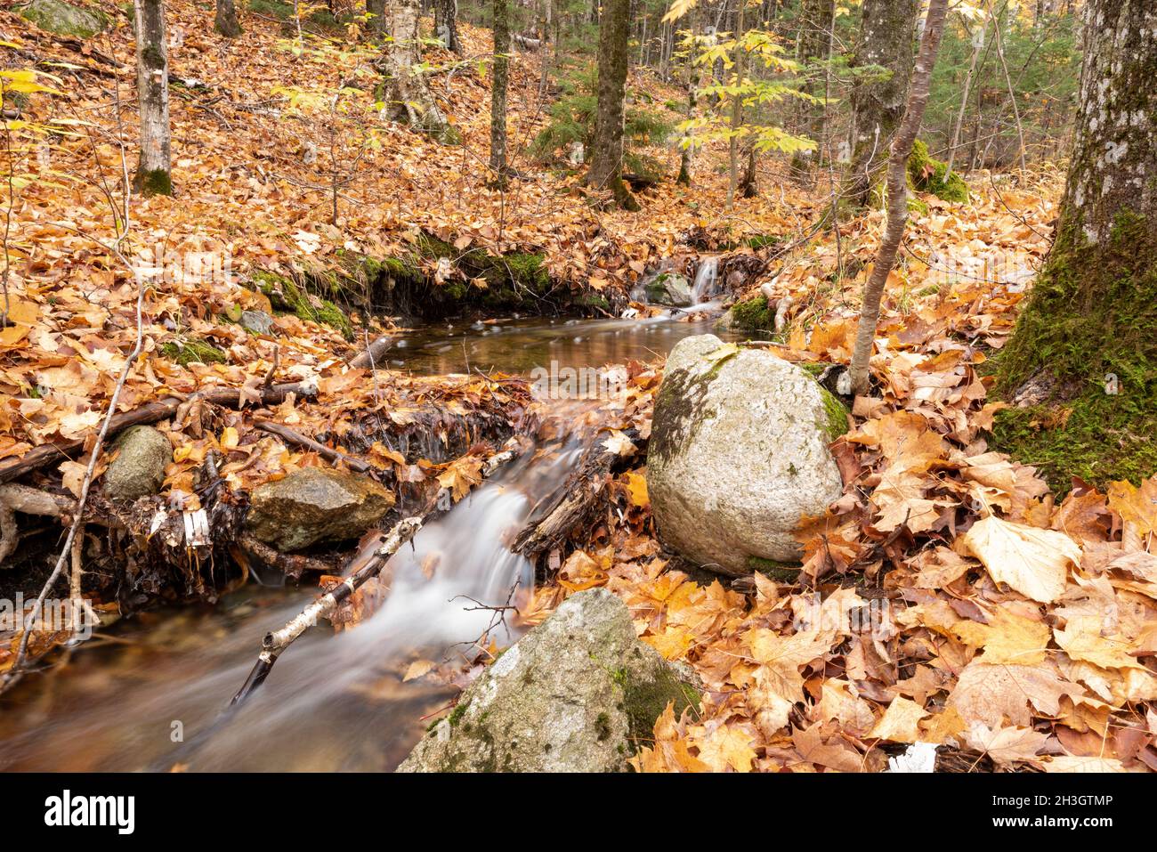 Beautiful Scene of The Basin, Franconia Notch State Park, Lincoln, NH ...