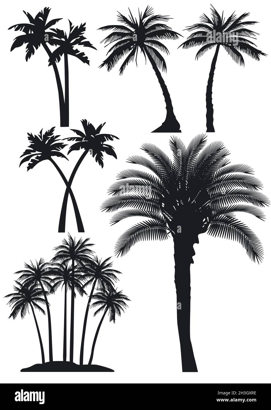 Palm trees set Stock Photo