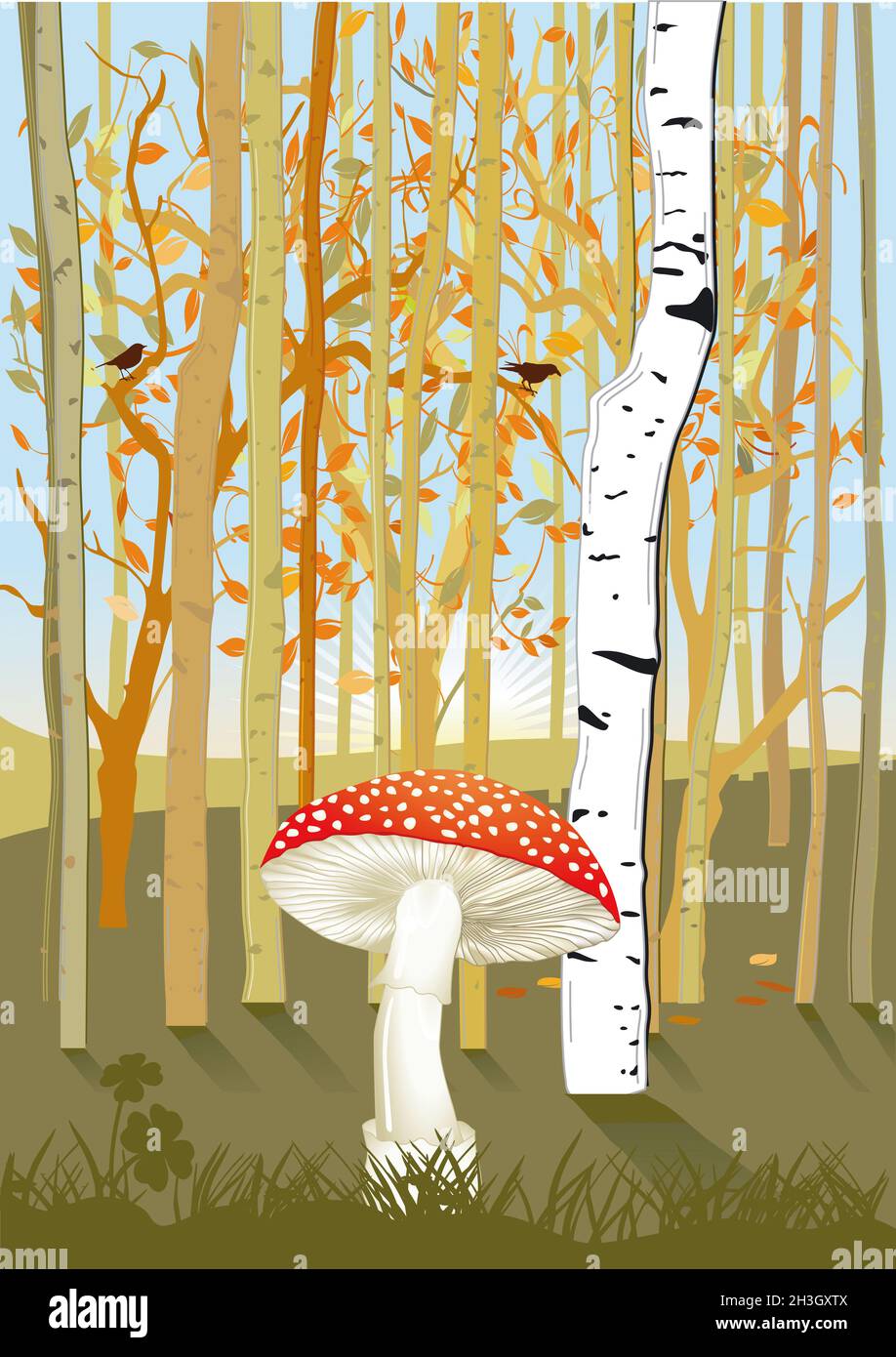 Forest with mushroom Stock Photo