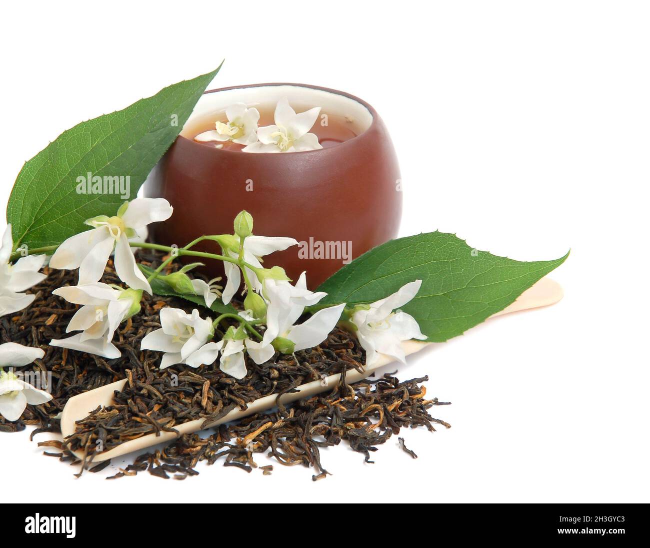 Japanese jasmine plant hires stock photography and images Alamy