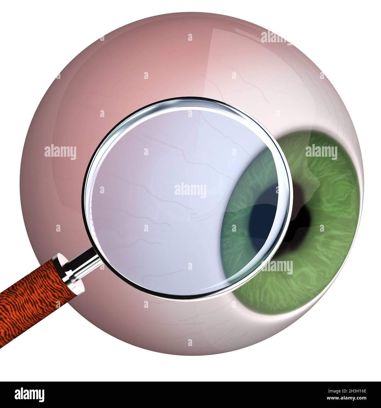 Eye With Loupe Stock Photo Alamy