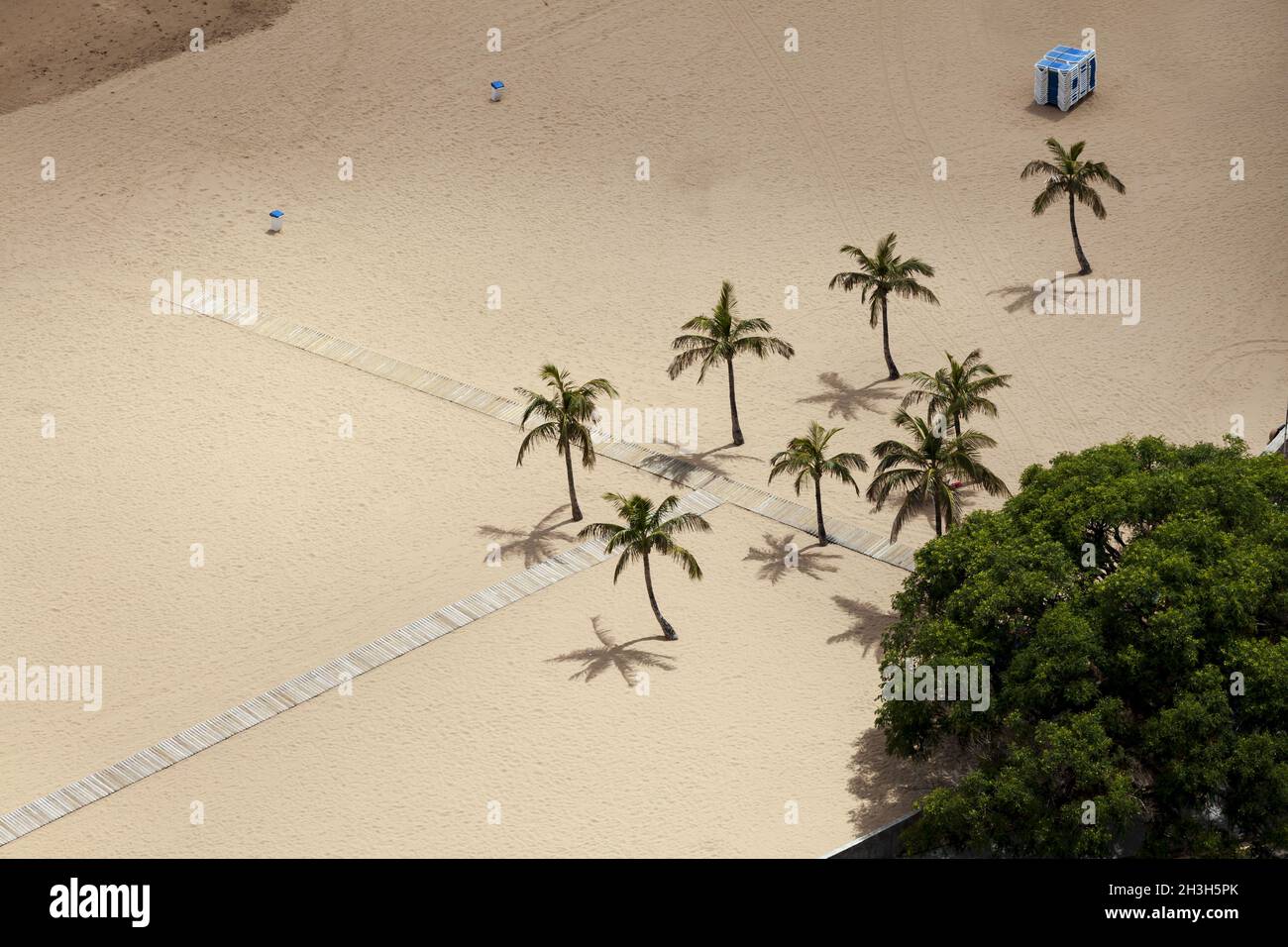 Palm trees on an empty beach Stock Photo