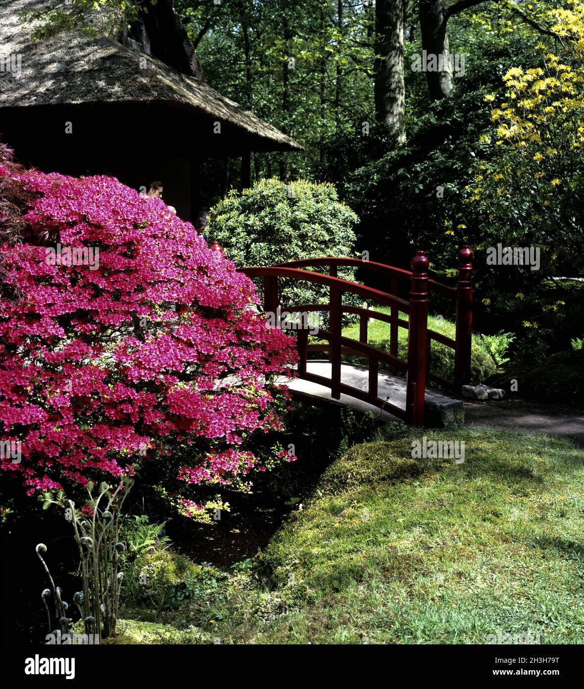 Japanese Garden, Clingendael Stock Photo