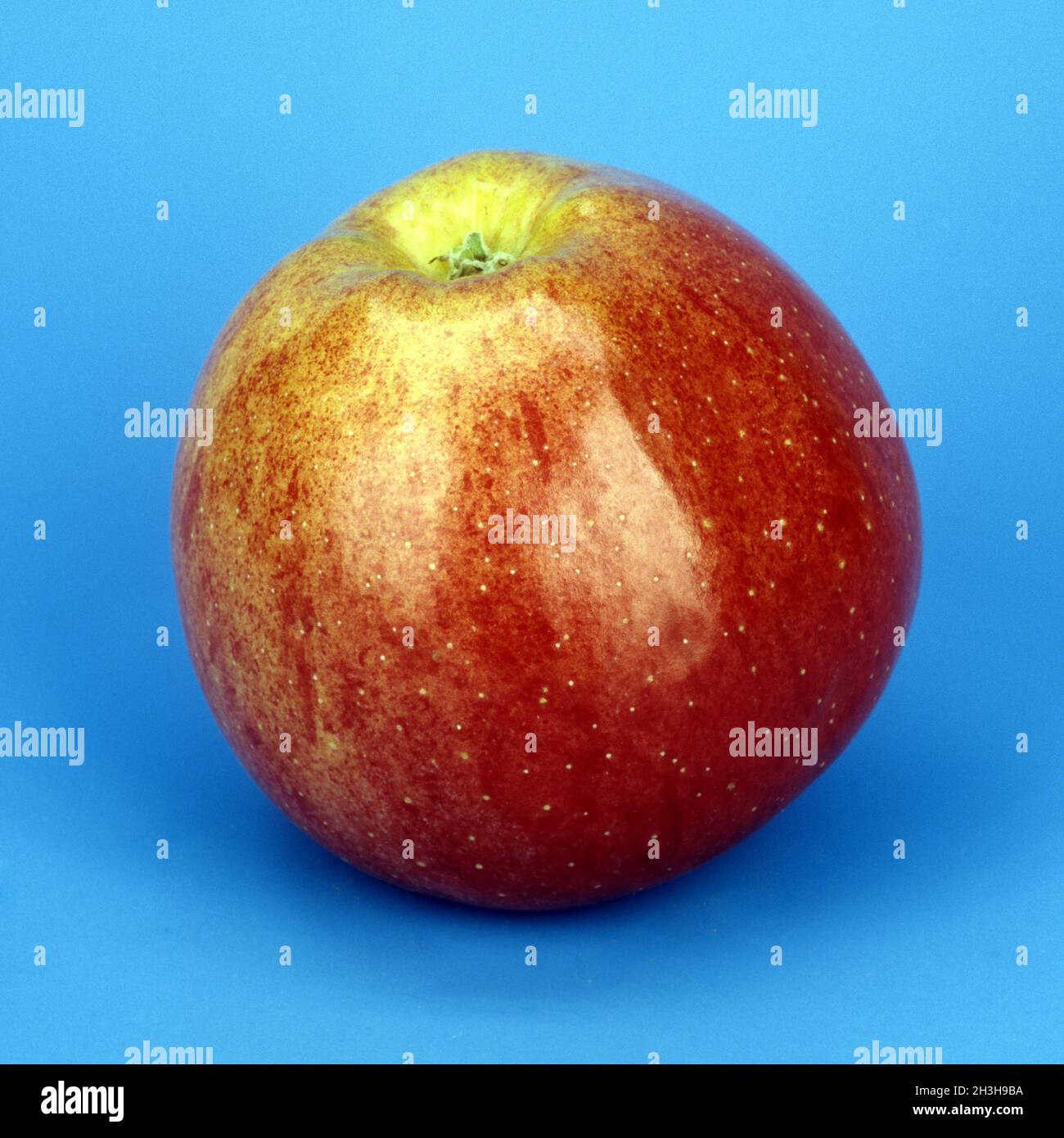 fresh royal gala apples Stock Photo - Alamy