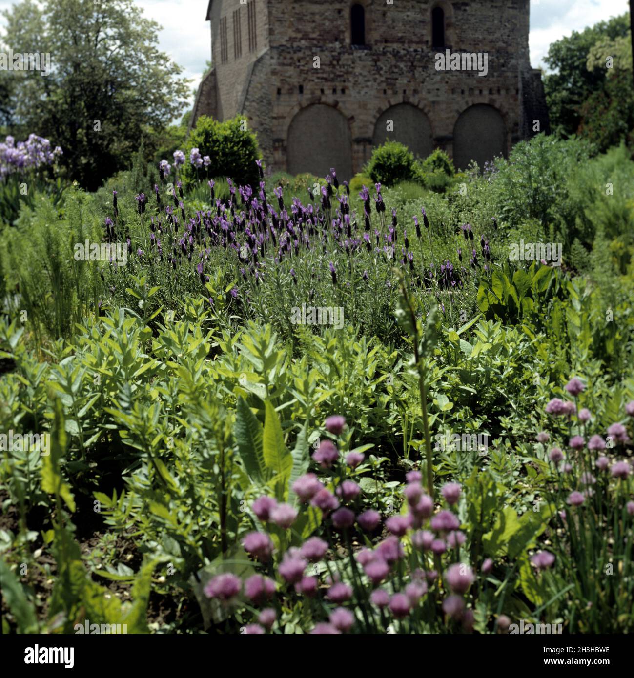 Medieval herb garden Lorsch Stock Photo Alamy
