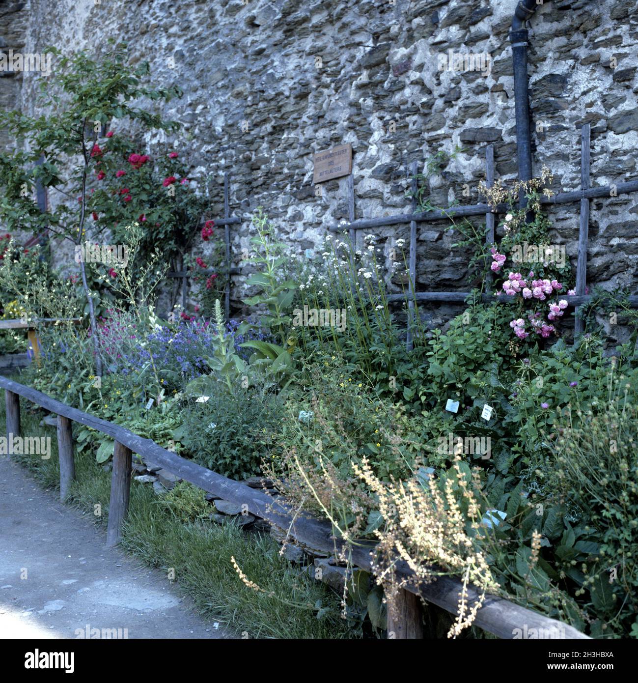 Medieval herb garden hires stock photography and images Alamy