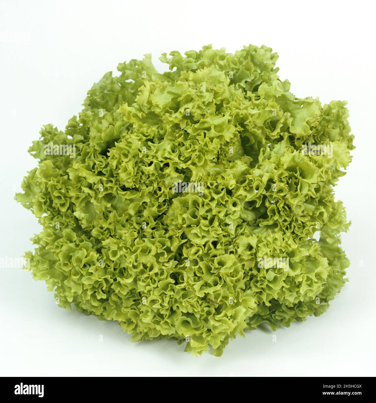 Weisser salat hi-res stock photography and images - Alamy Weisser salat hi-res stock photography and images - Alamy