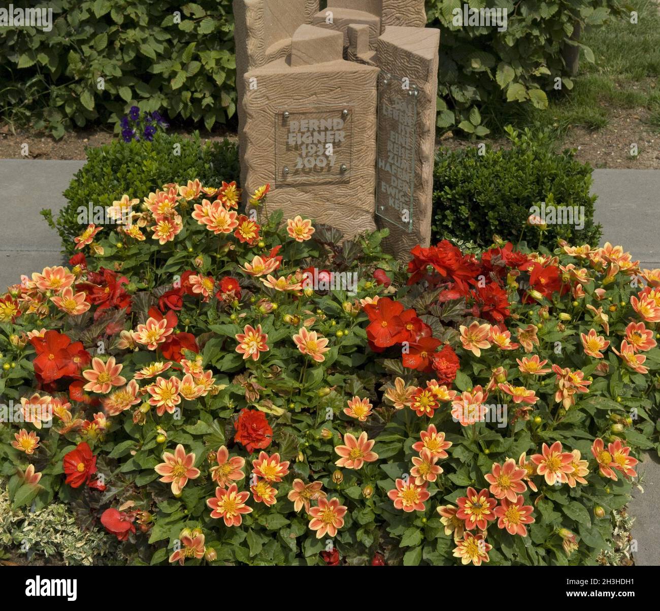 Grave planting, urn grave, flowers Stock Photo Alamy