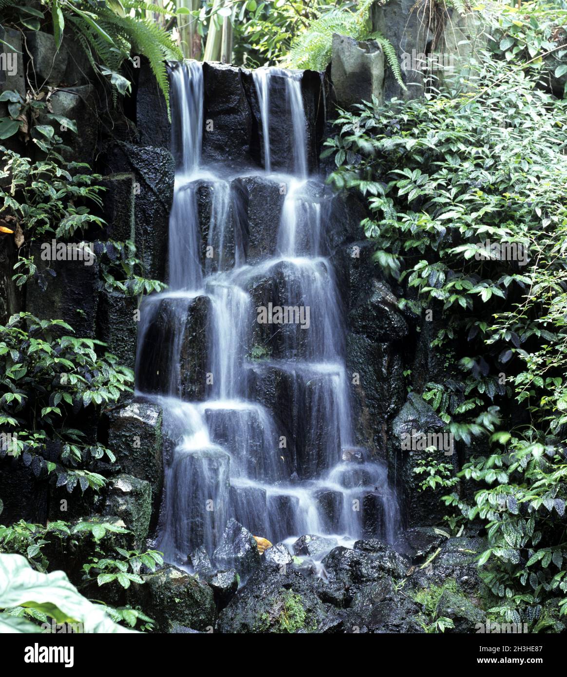Garden creek waterfall hi-res stock photography and images - Alamy
