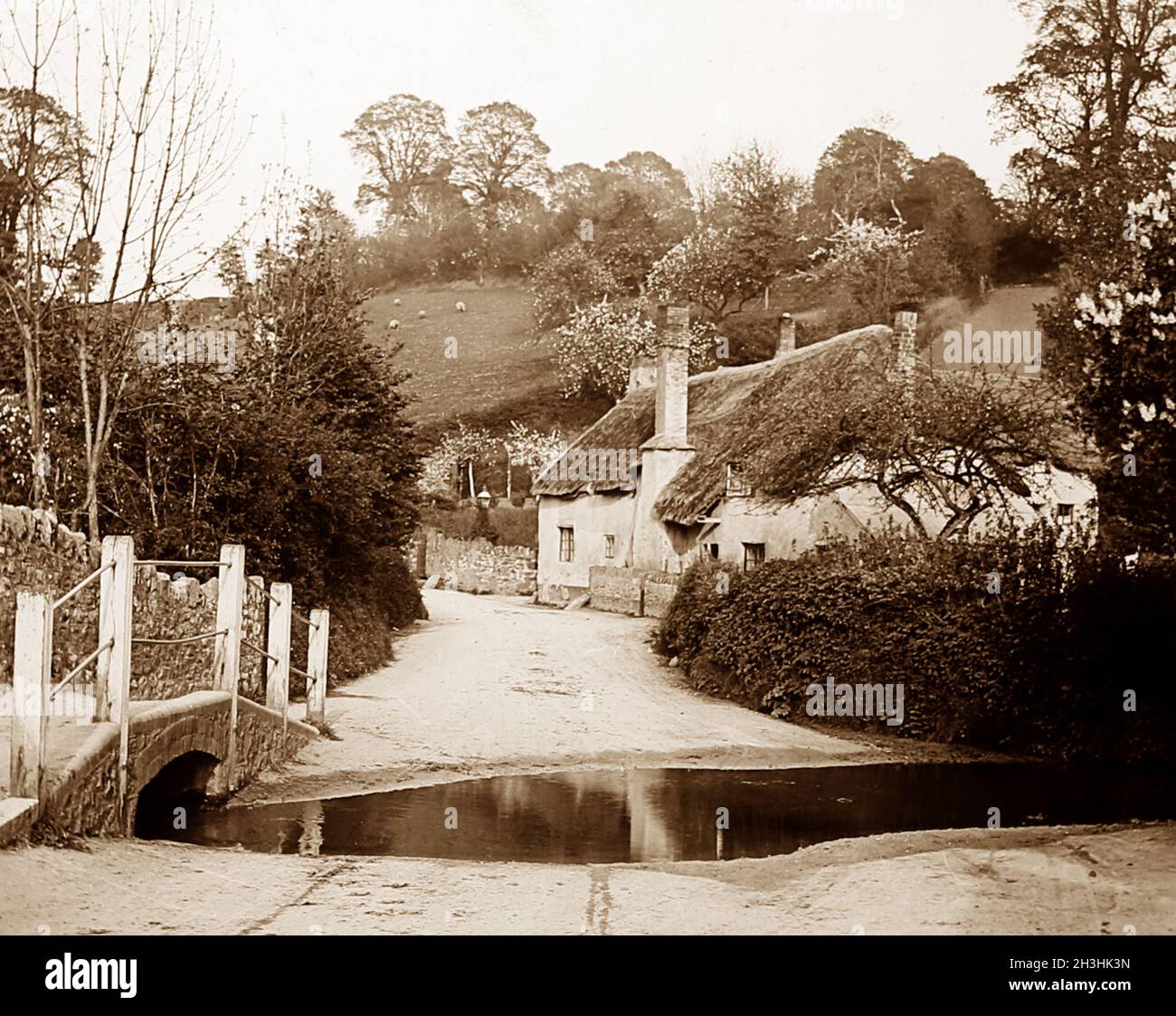 Netherton near Newton Abbot, Devon, early 1900s Stock Photo Alamy