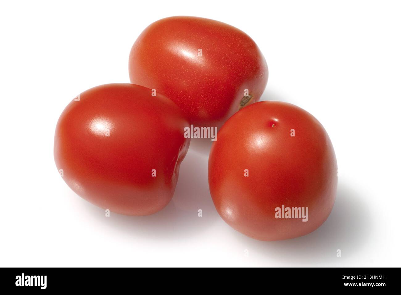 Roma-Tomaten, Romatomaten, Lycopersicon esculentum; Stock Photo