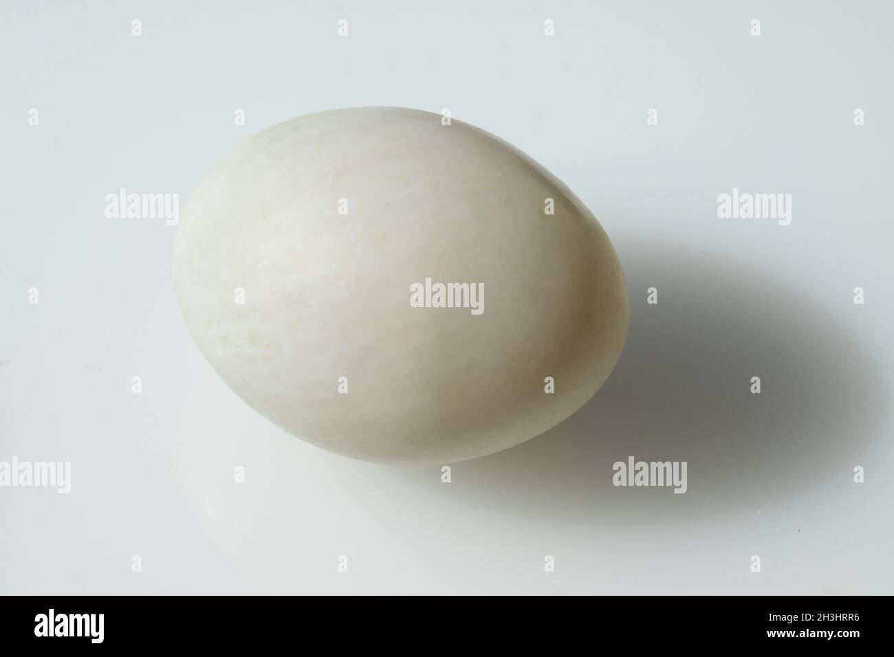 Duck egg, egg; duck eggs, Stock Photo