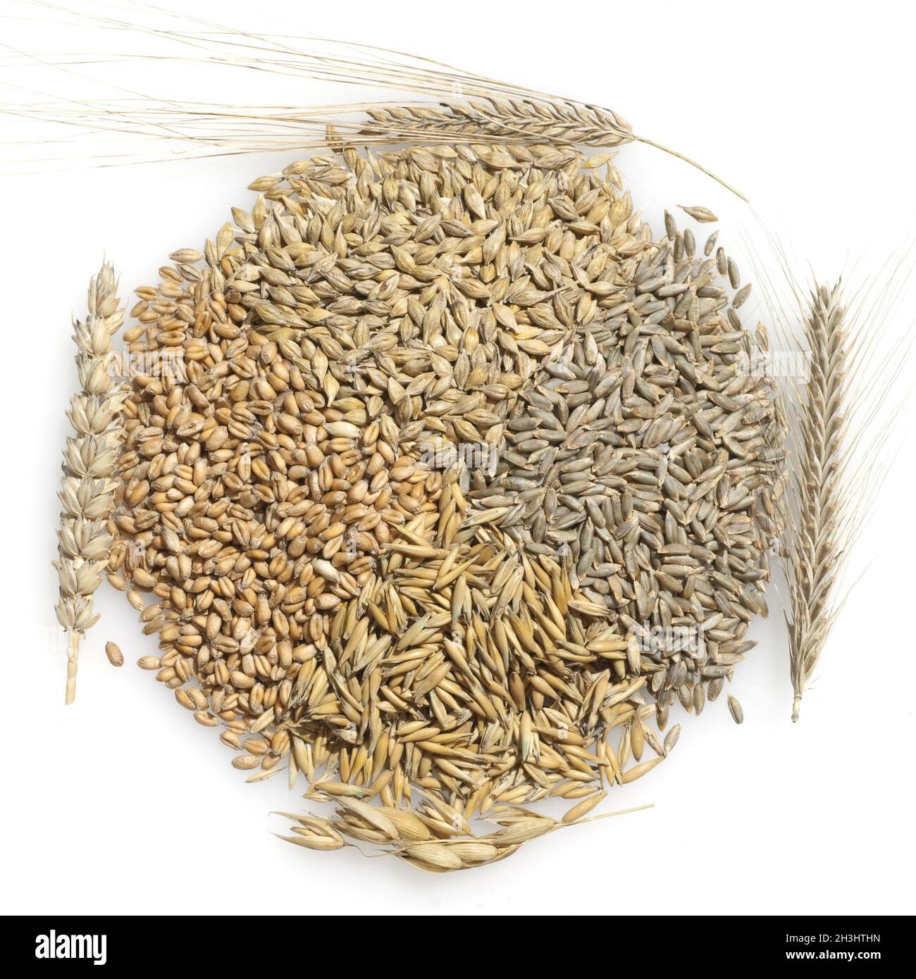 Grains, cereal grains, cereal kernels Stock Photo Alamy