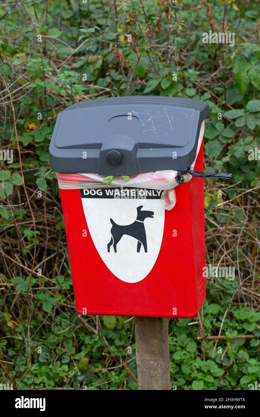 Dog Waste Only, poo bag disposal box. Whitlingham Park, Norwich. Provision for dog walkers. Stock Photo