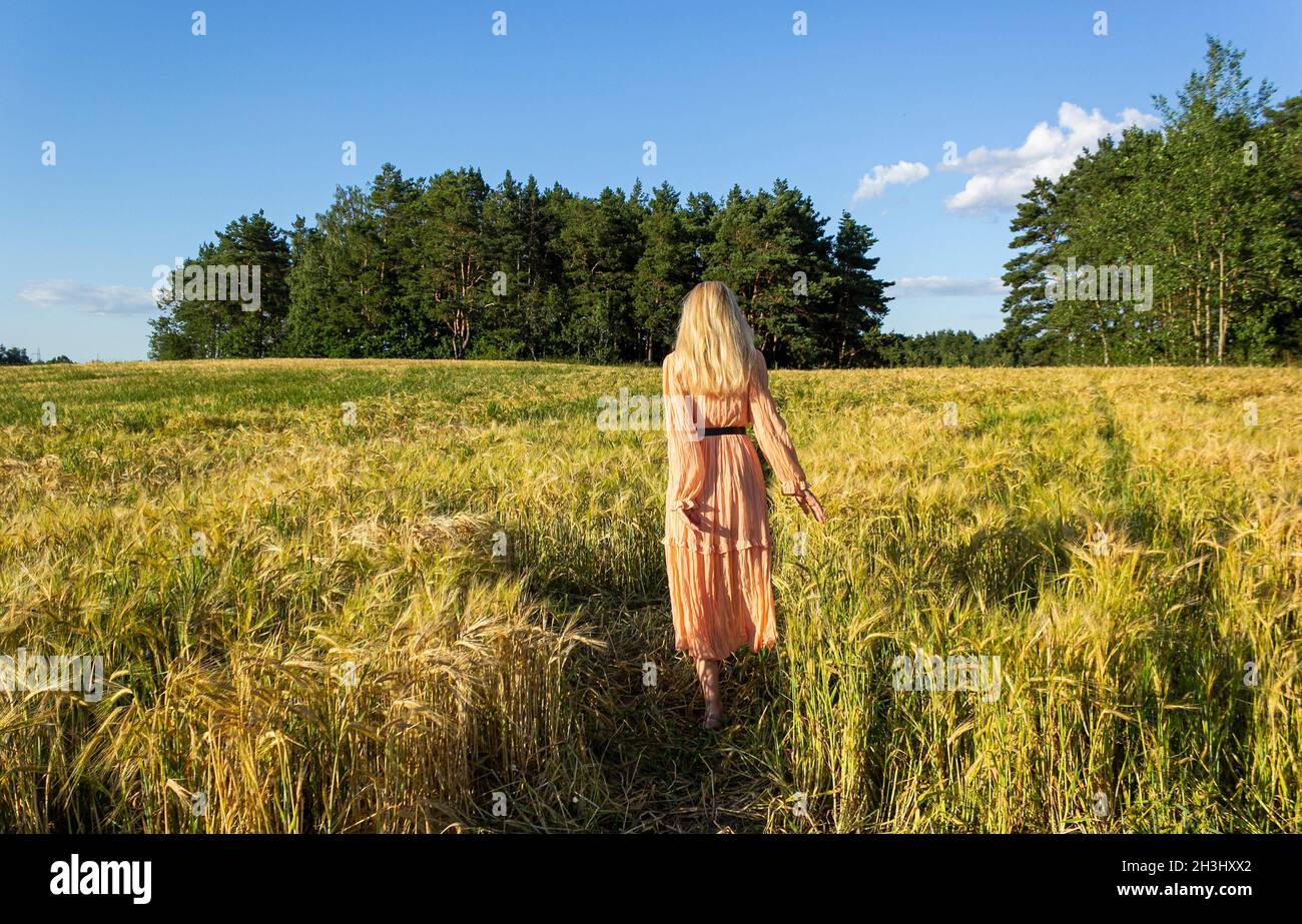Blonde girl in a wheat field. Clear blue sky Stock Photo - Alamy