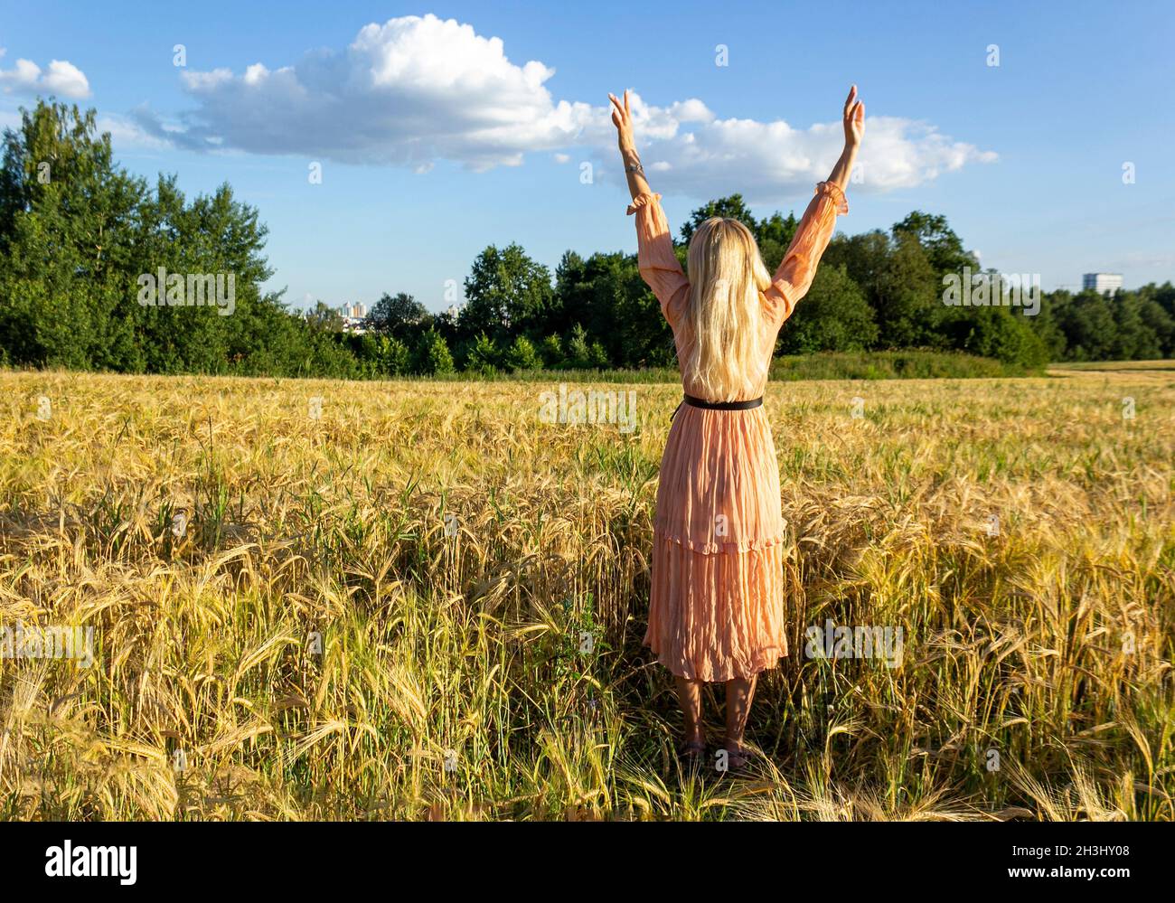 Blonde girl in a wheat field. Clear blue sky Stock Photo - Alamy