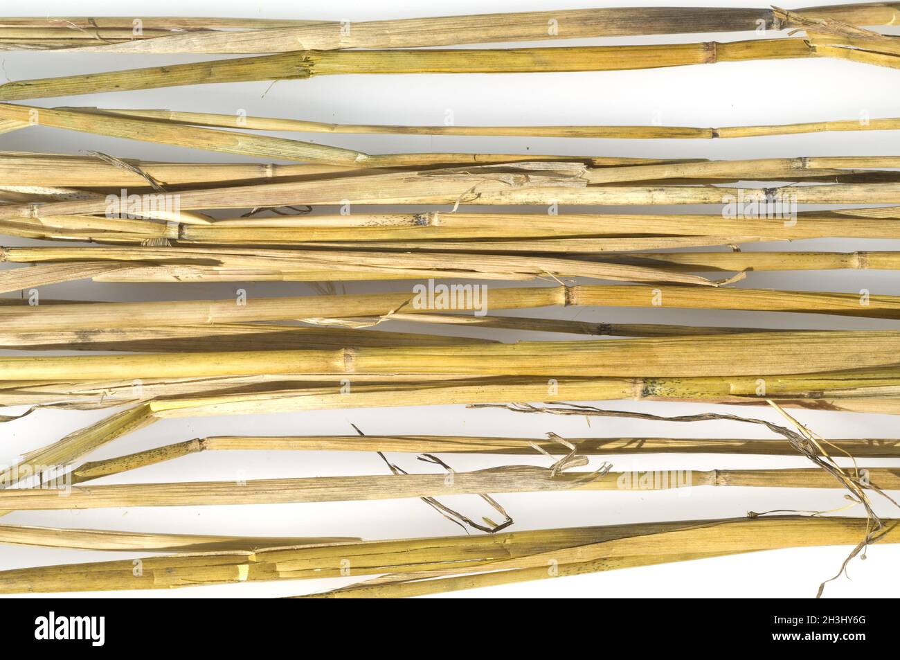 Straw, grain, cereal stalks Stock Photo Alamy