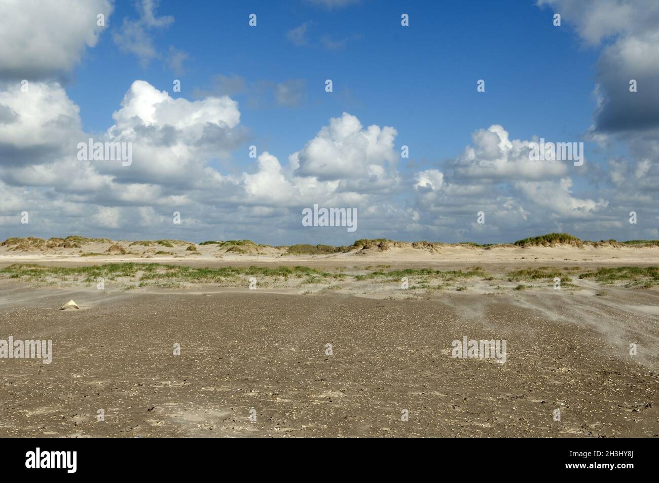 Duene, Strand, Roemoe, Daenemark, Stock Photo