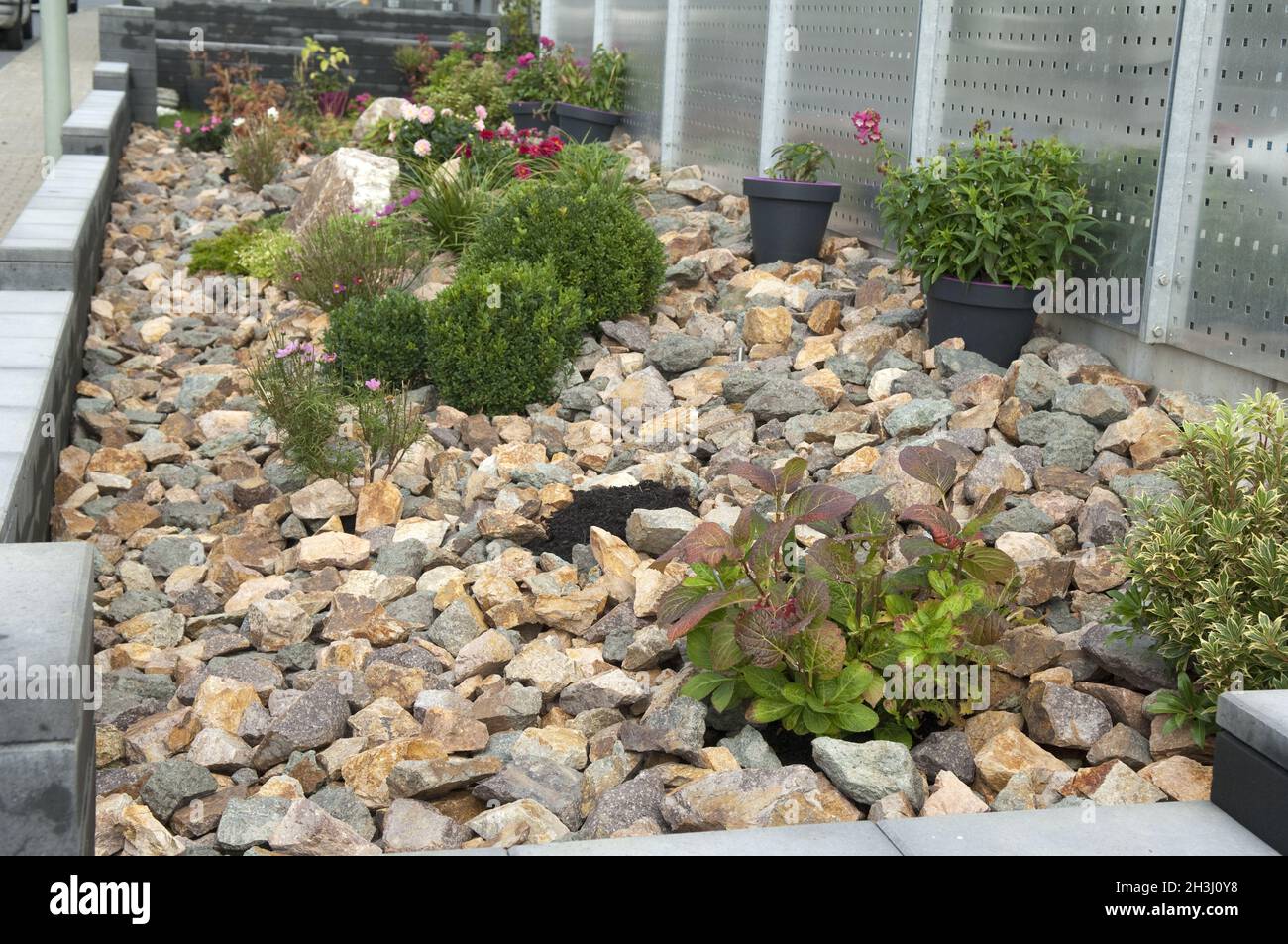 Rock garden, Stock Photo