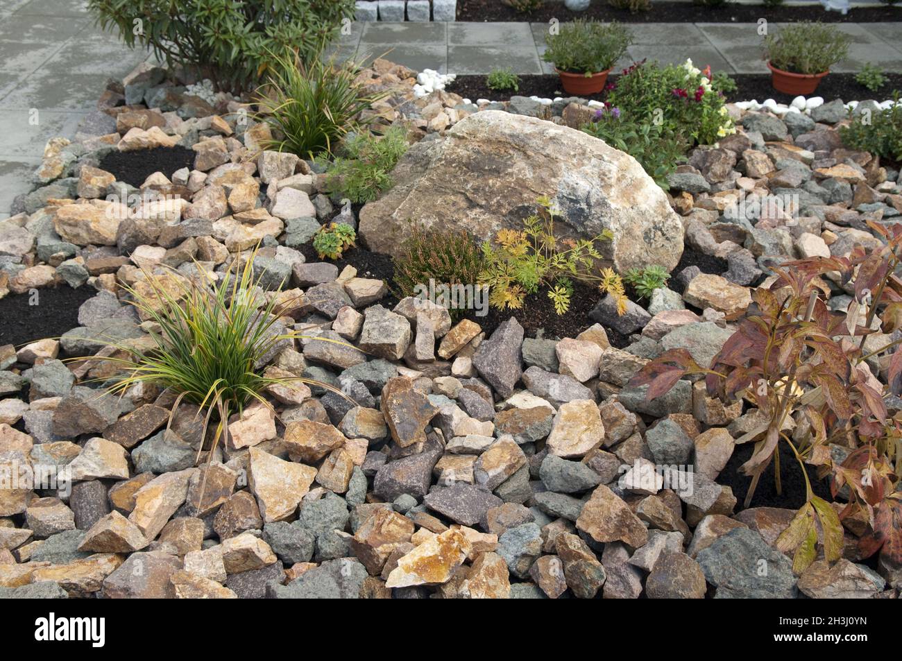 Rock garden, Stock Photo