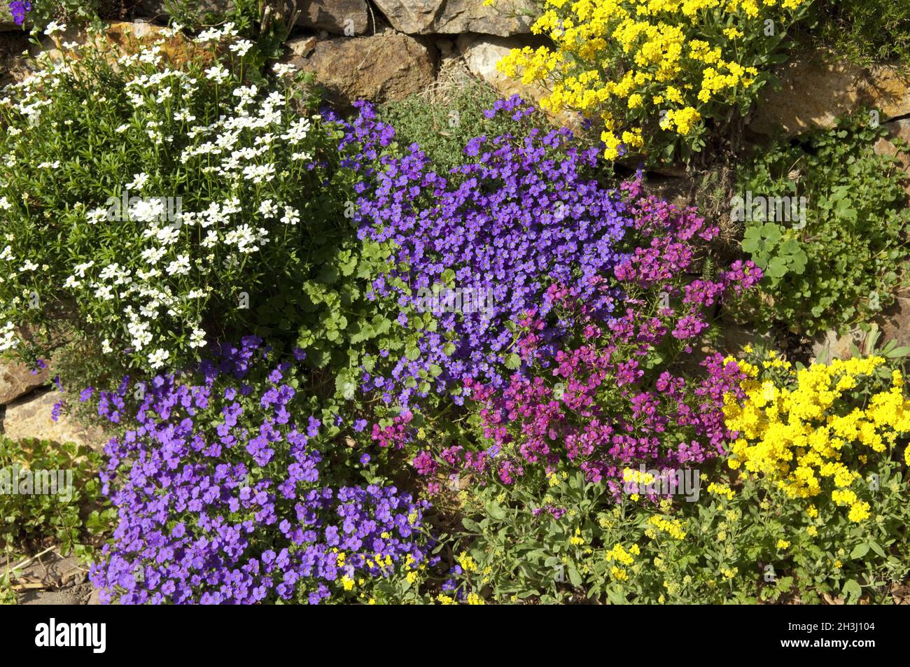 Dry Stone Wall Garden High Resolution Stock Photography and Images - Alamy