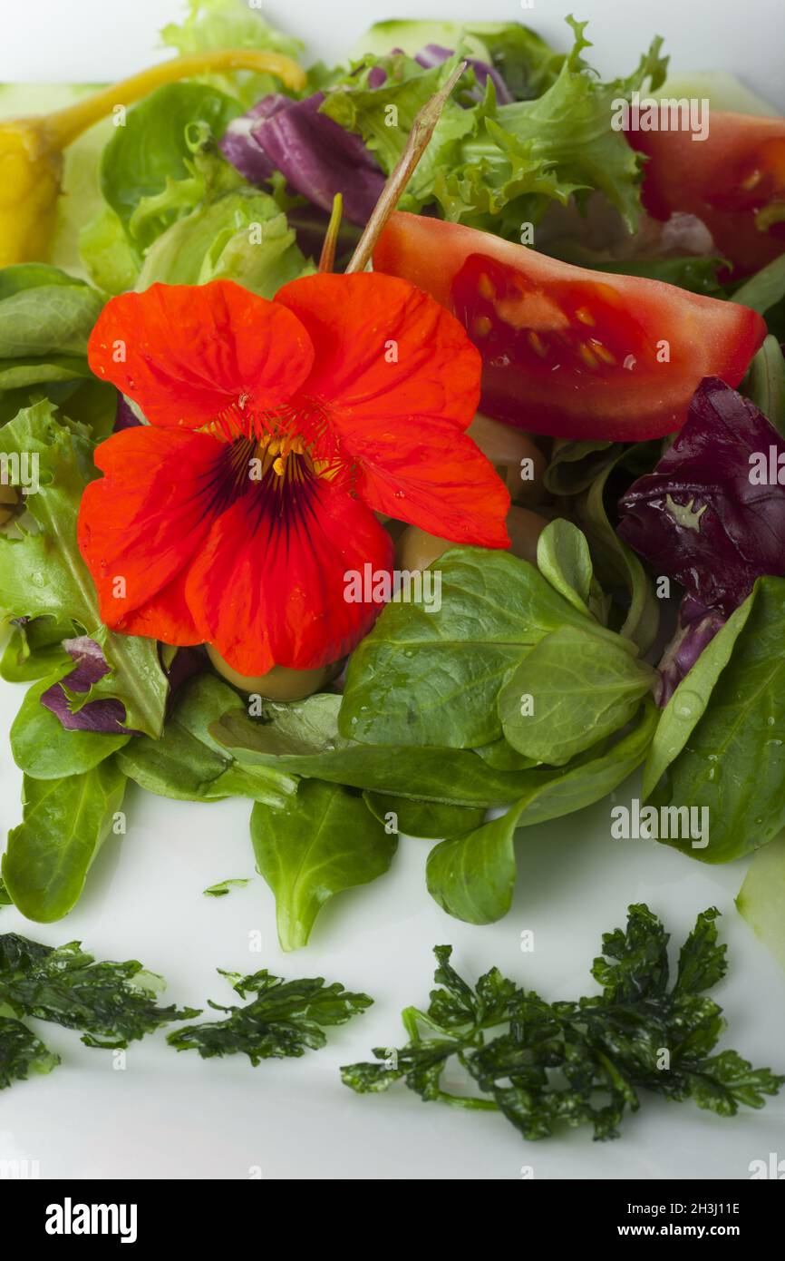 Salad with edible flowers Stock Photo