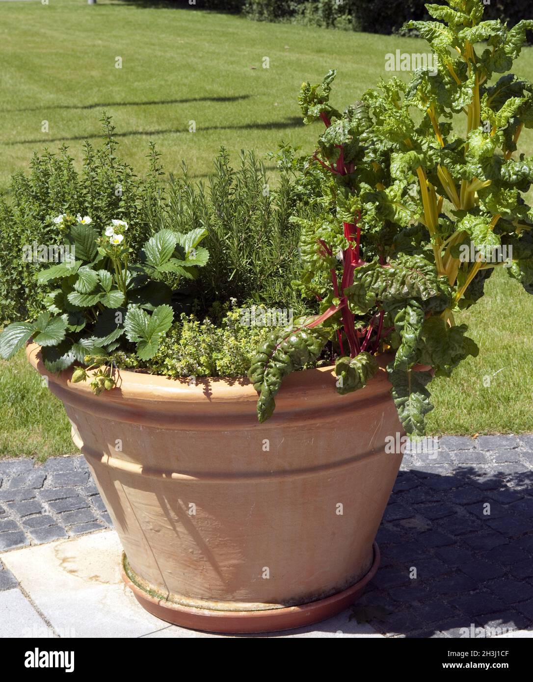 Herbs pots patio hires stock photography and images Alamy