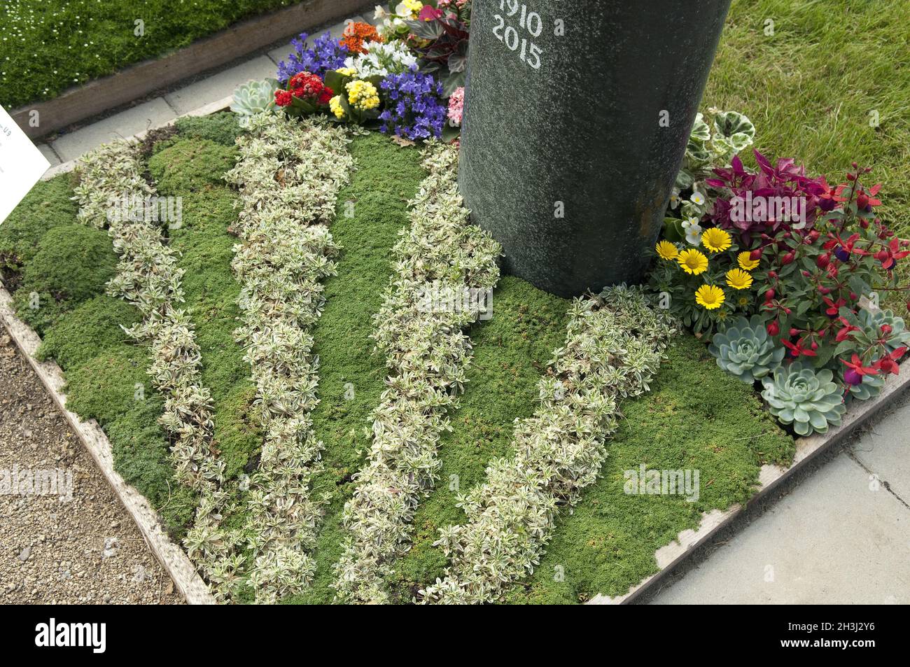 Grave planting, sand thyme, Thymus serpyllum Stock Photo