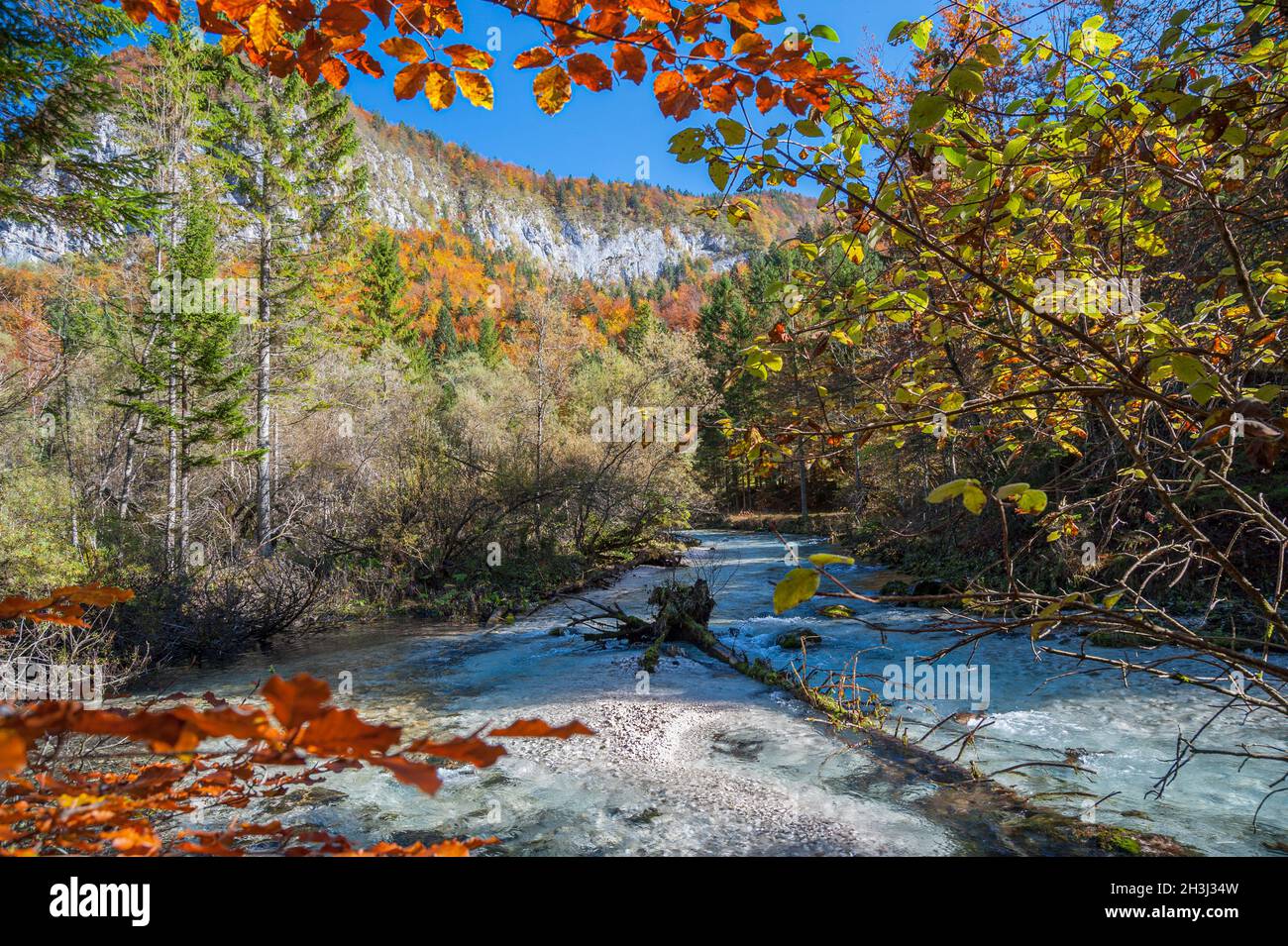 Radovna river in Krma gorge in Triglav National Park Stock Photo